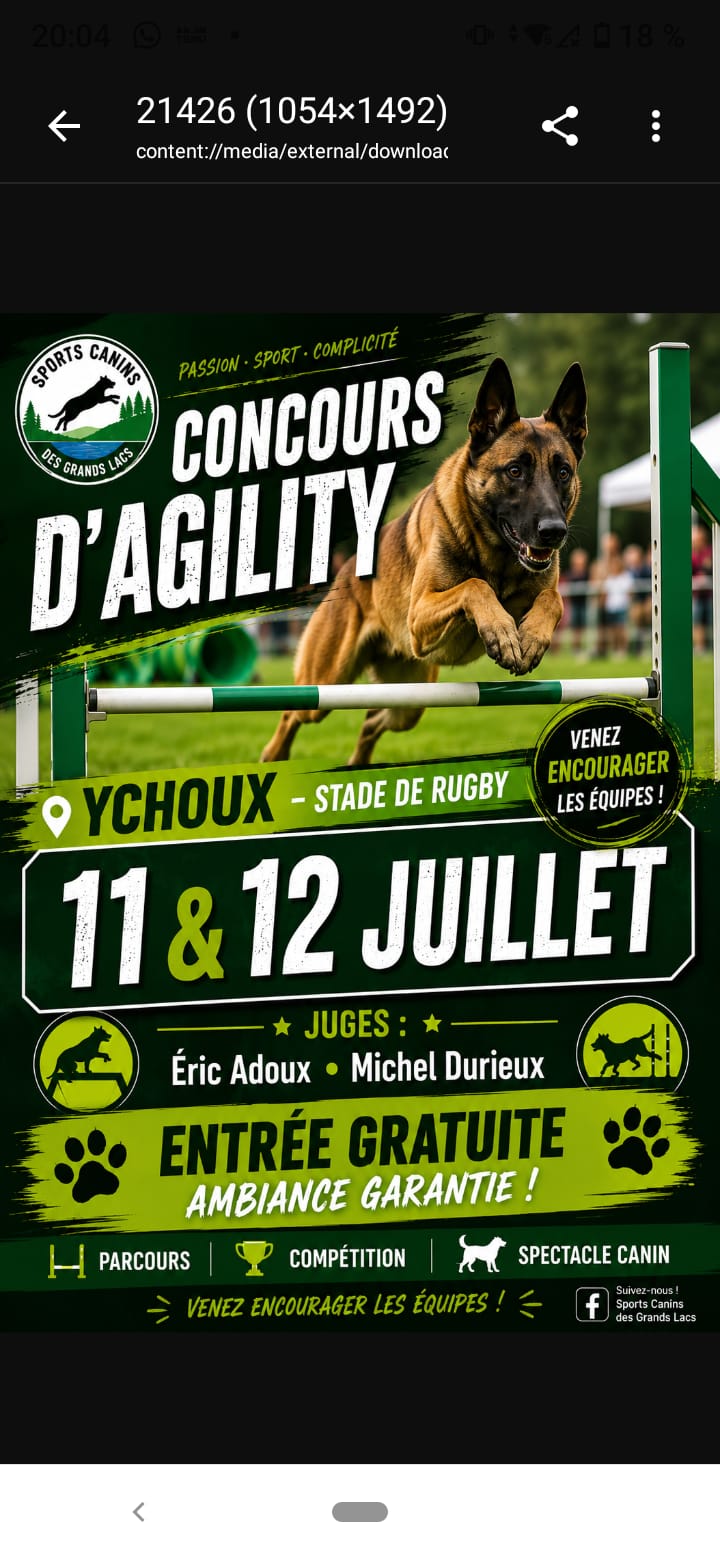Concours agility dog, Ychoux