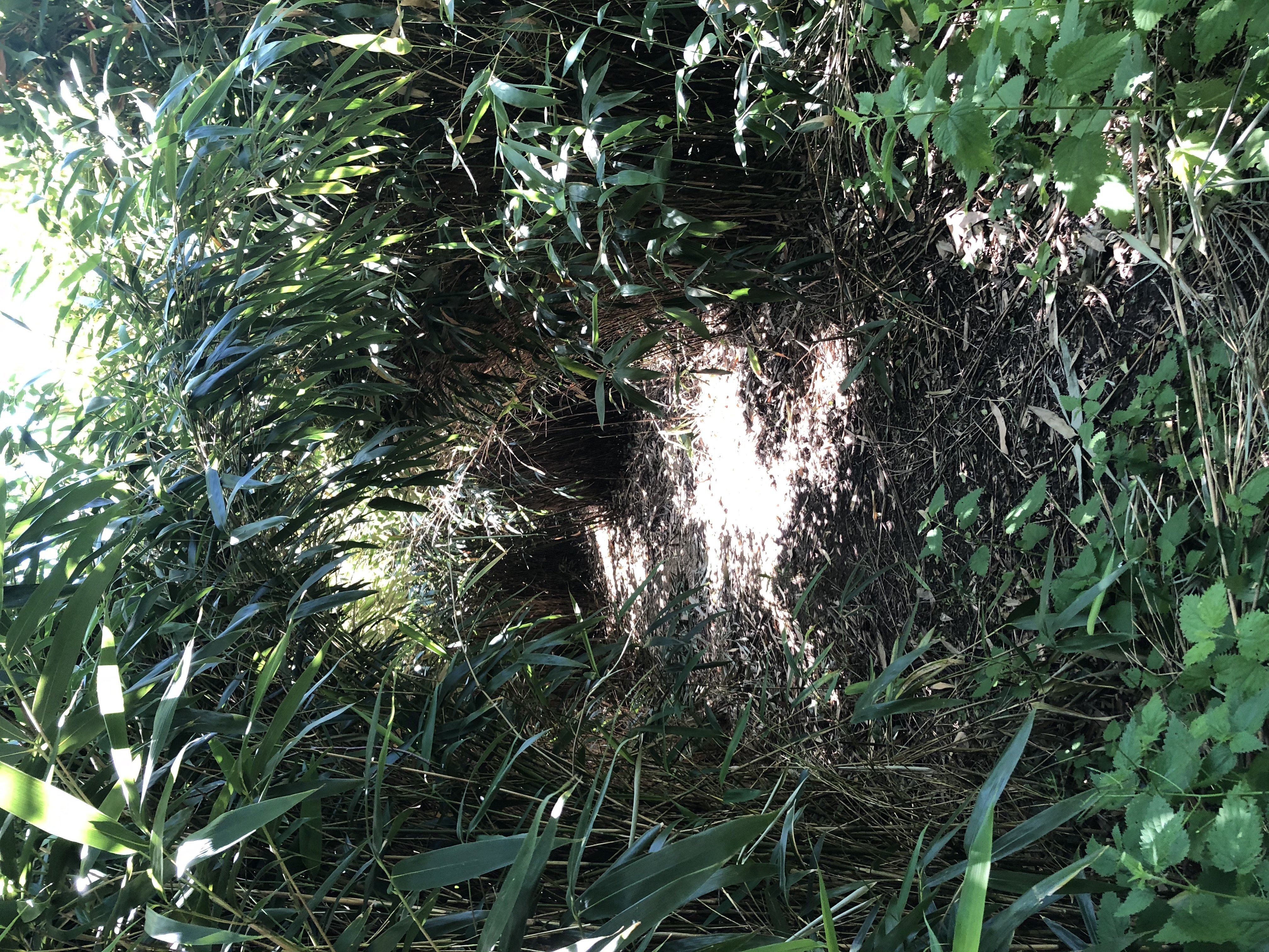 Les Bords de Sèvre - photo 2