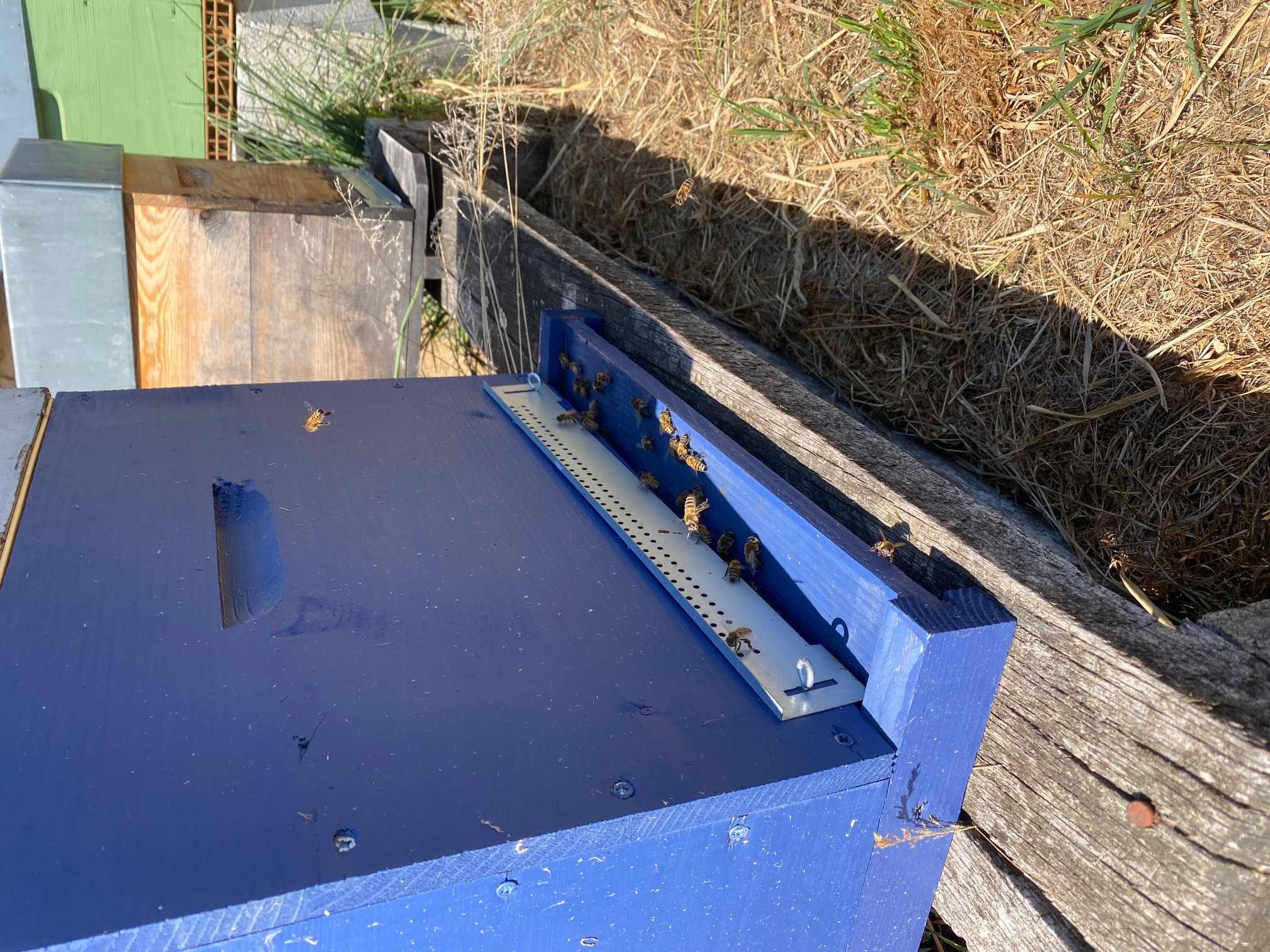 Les Joyeuses Butineuses de Chamboulive - photo 2