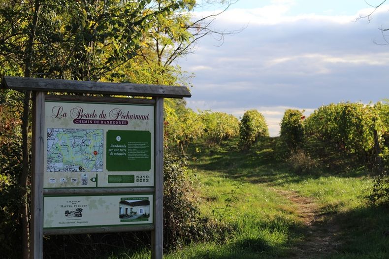 Boucle de Pécharmant - Bergerac, Bergerac