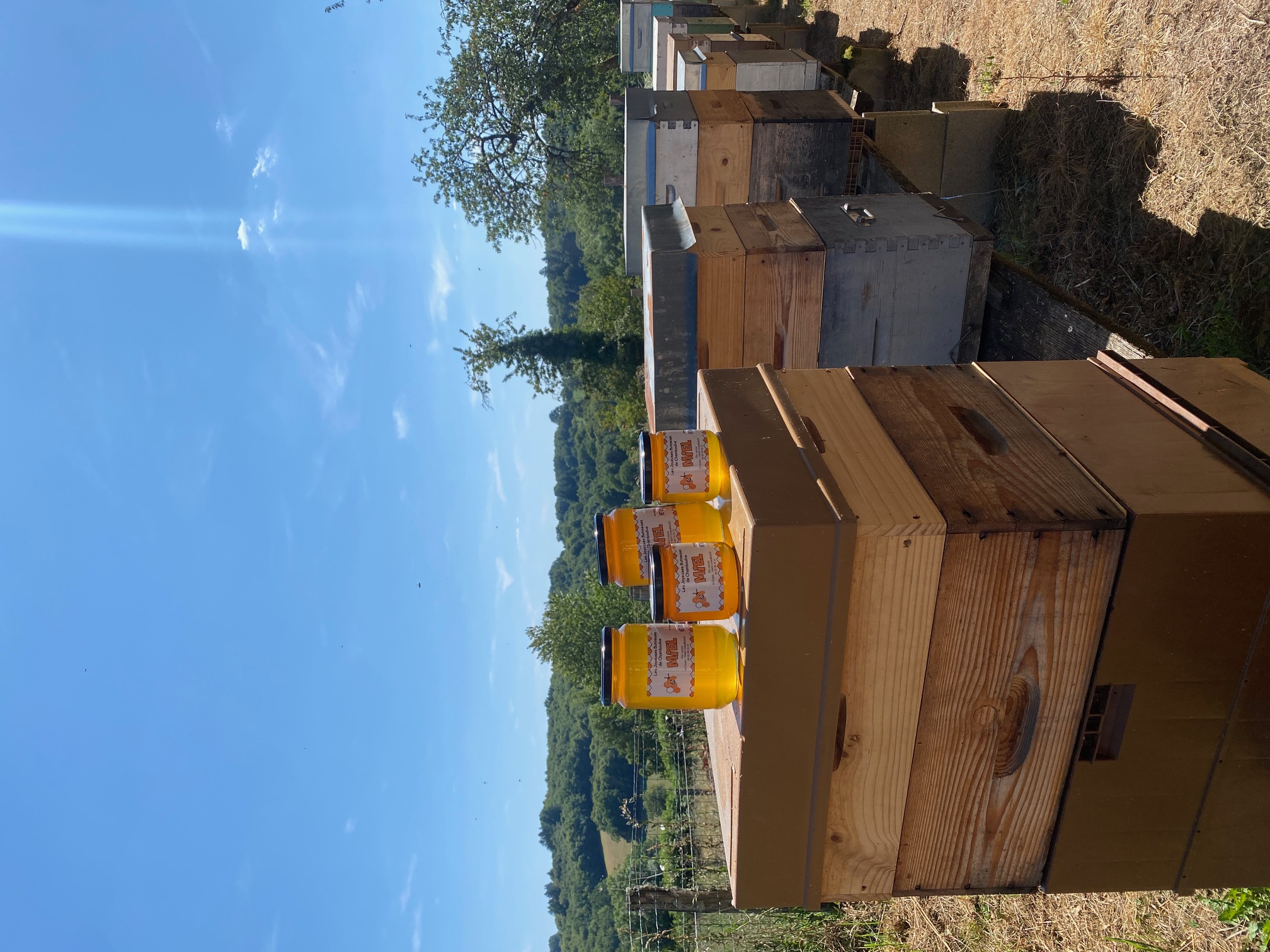 Les Joyeuses Butineuses de Chamboulive - photo 3