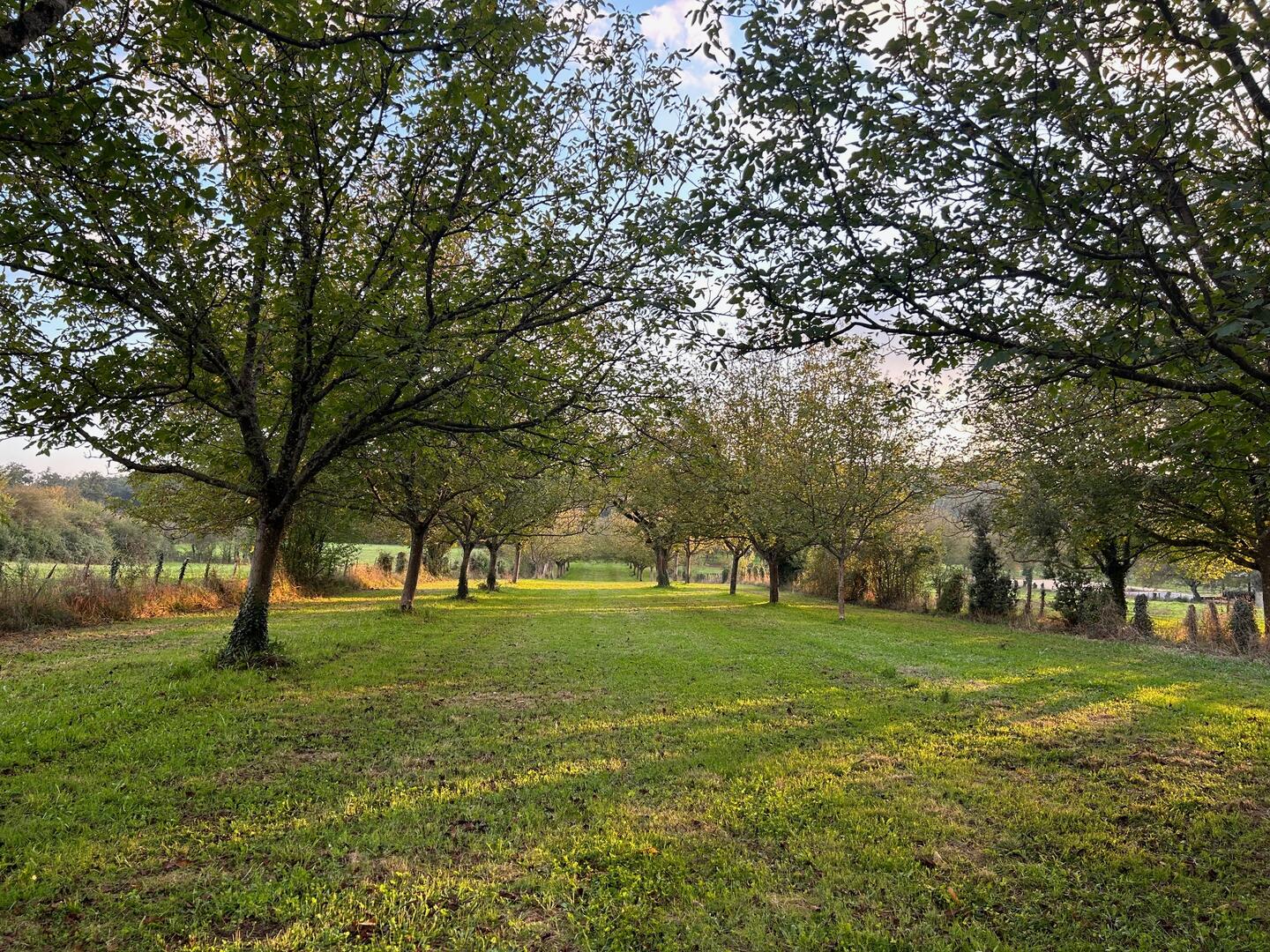 SARL Le Clos des Noyers