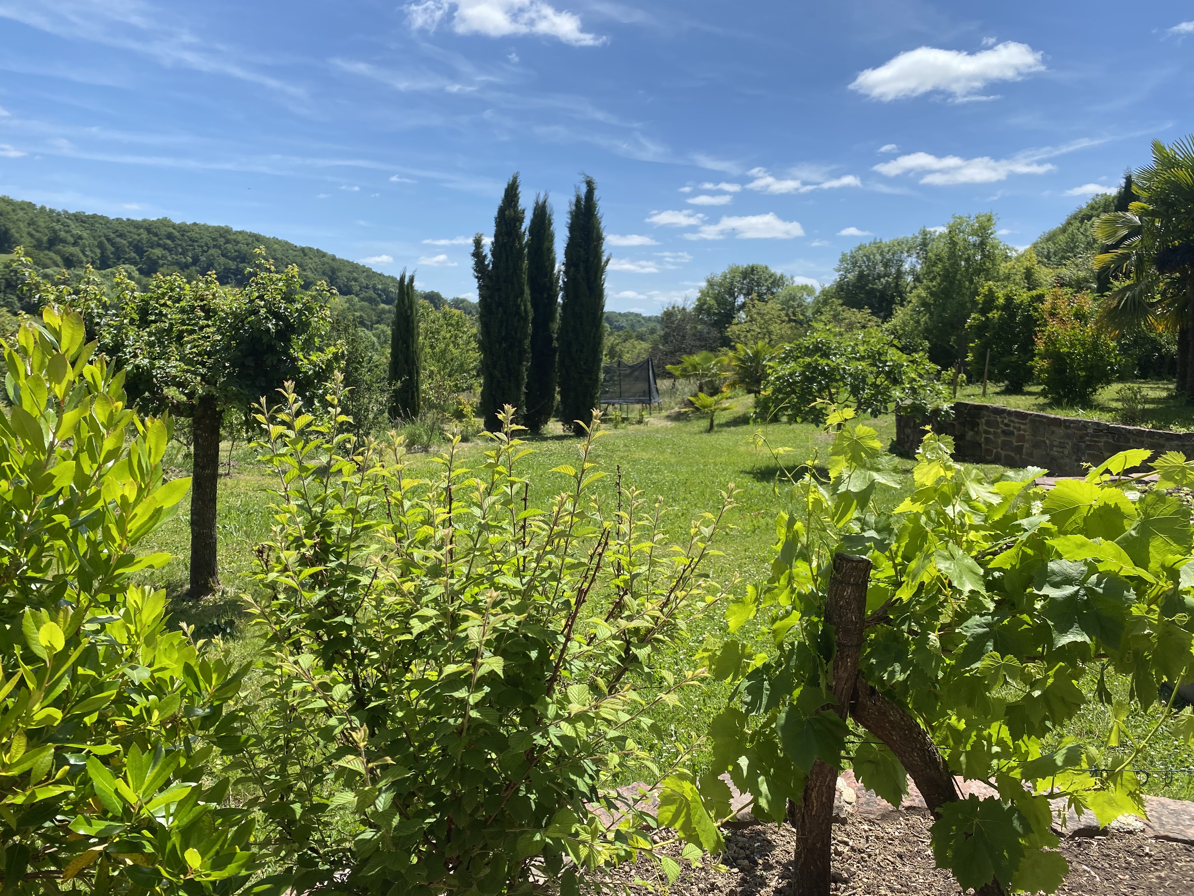 Le Palmier d'Alice, Collonges-la-Rouge - photo 14