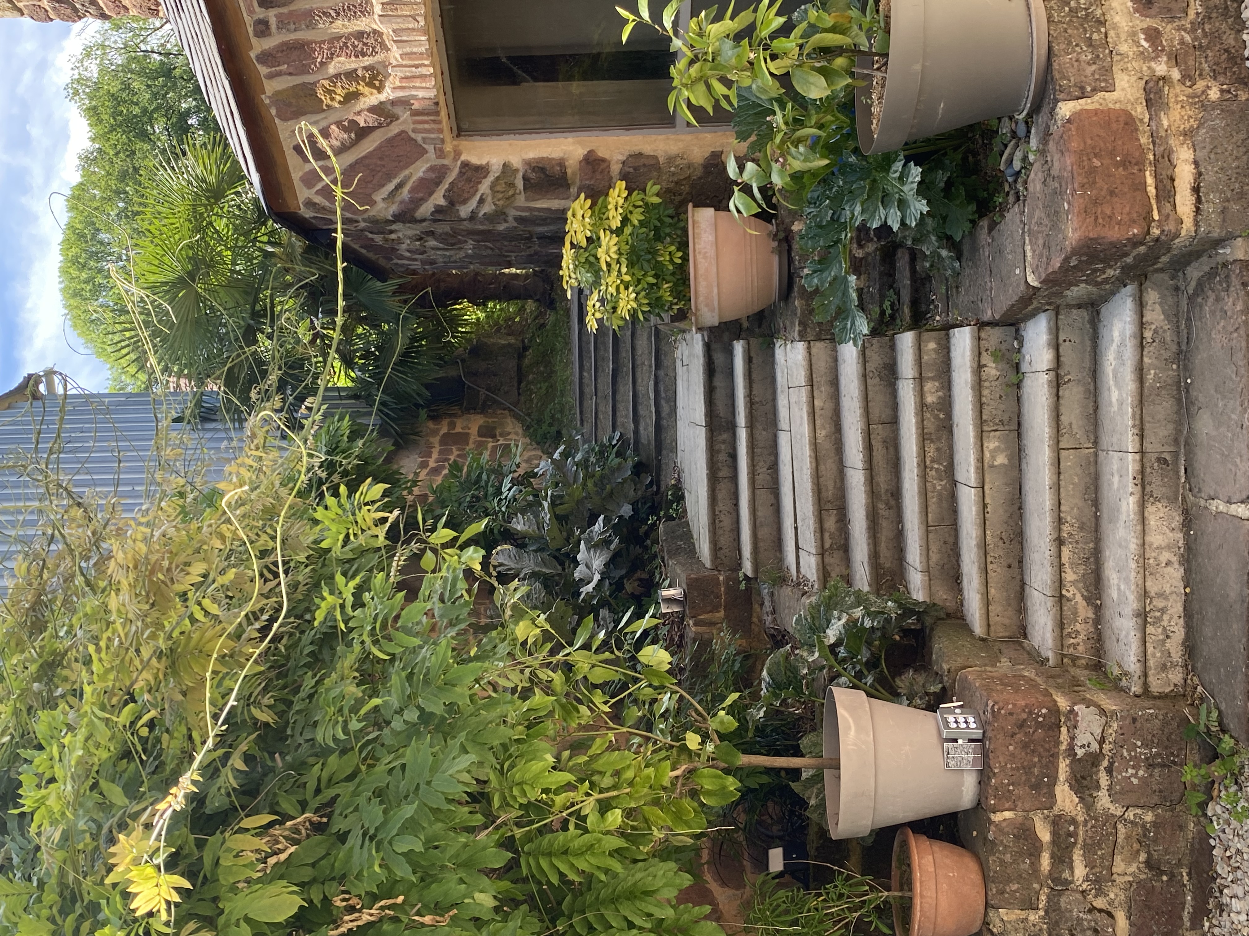 Le Palmier d'Alice, Collonges-la-Rouge - photo 3