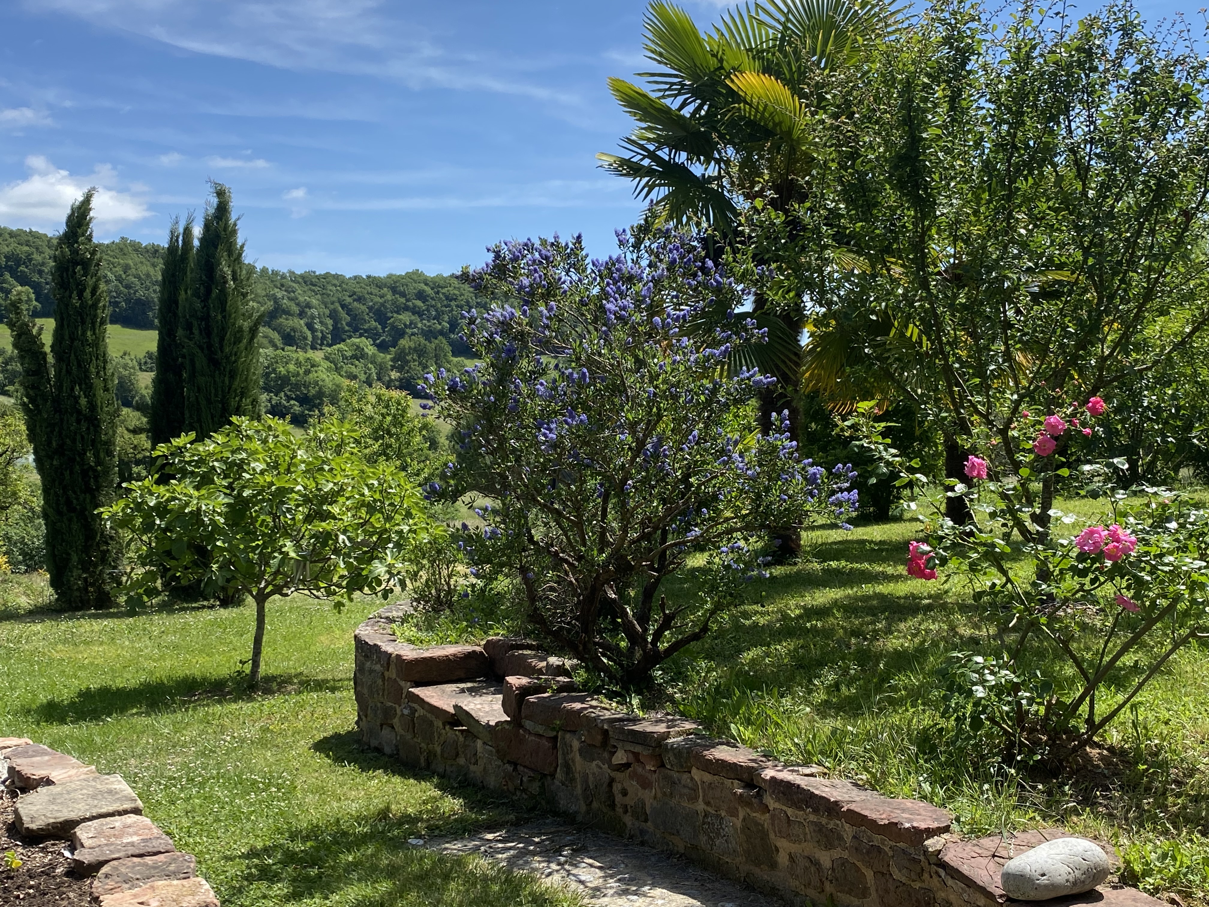 Le Palmier d'Alice, Collonges-la-Rouge - photo 17