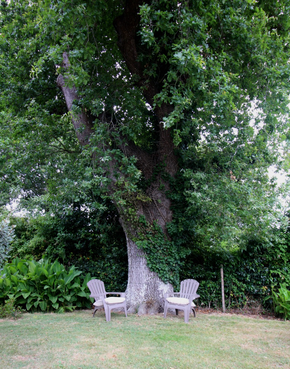 Gîte du Vieux Chêne, Vensac - photo 9
