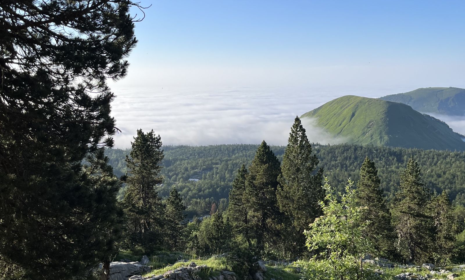 Chalet des Myrtilles (Rez-de-chaussée), Arette - photo 13