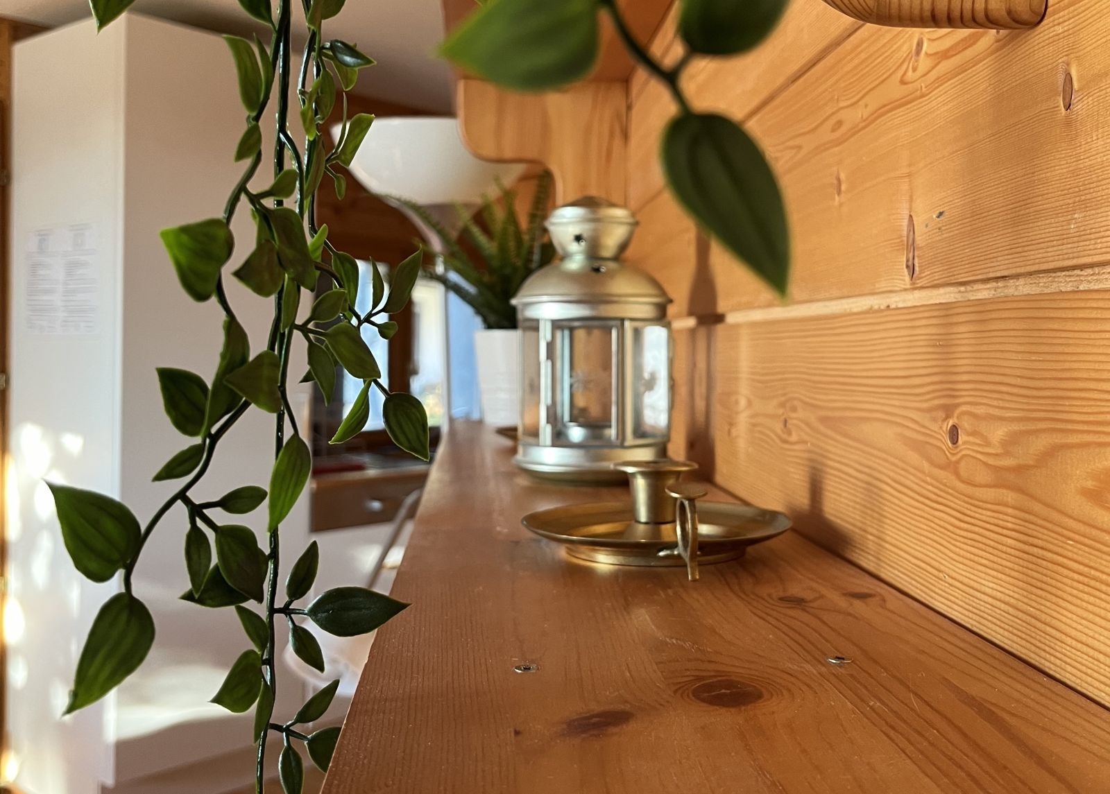 Chalet des Myrtilles (Rez-de-chaussée) - photo 4