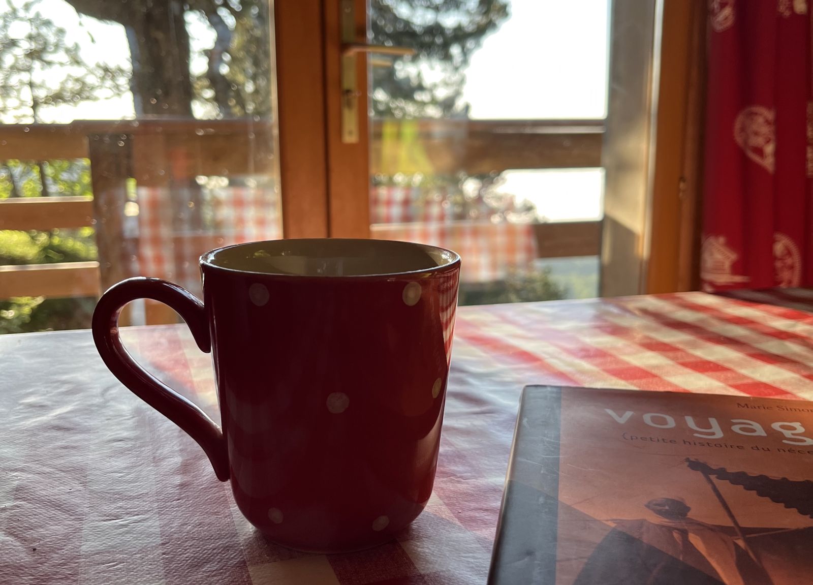 Chalet des Myrtilles (Rez-de-chaussée) - photo 5