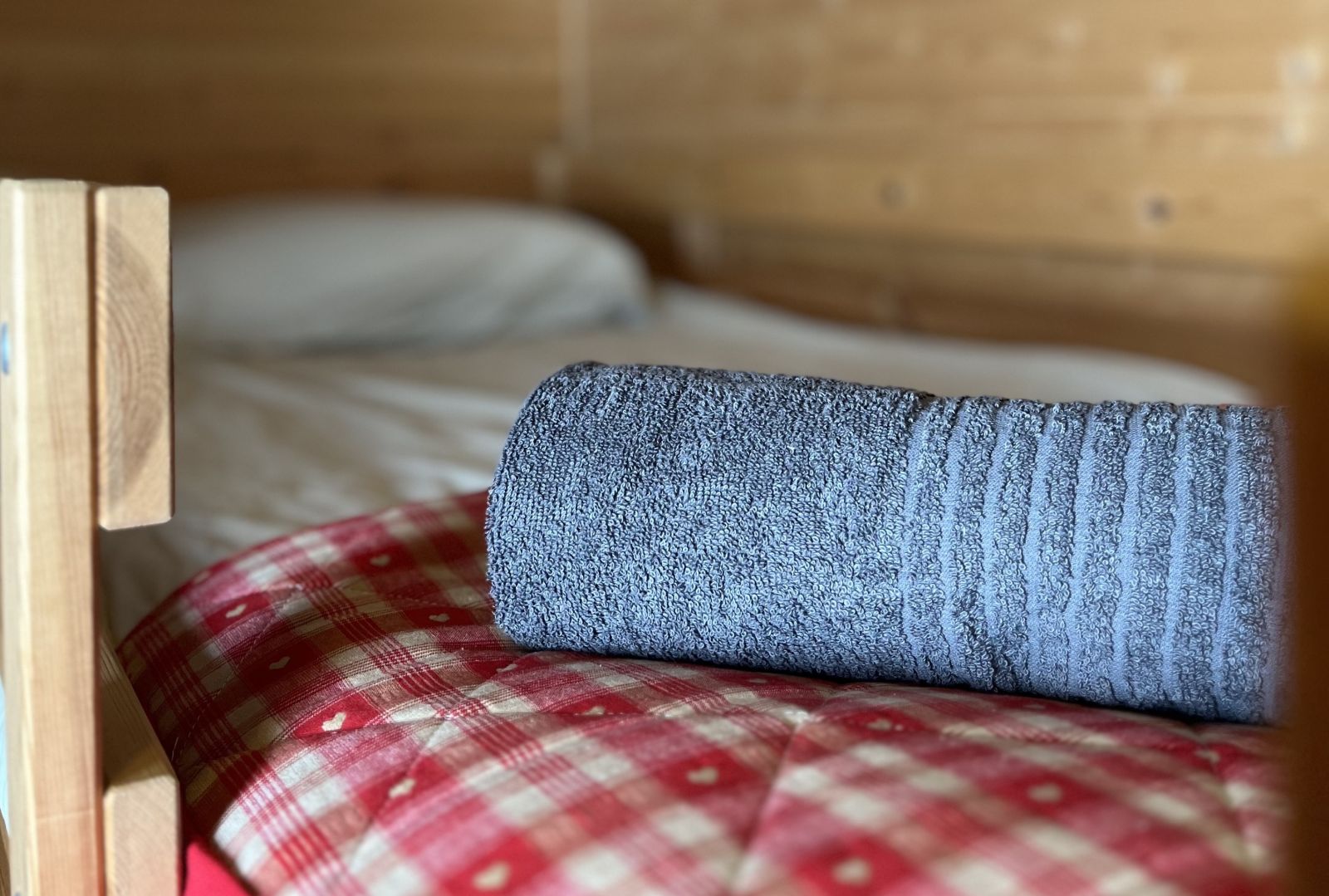 Chalet des Myrtilles (Rez-de-chaussée), Arette - photo 6