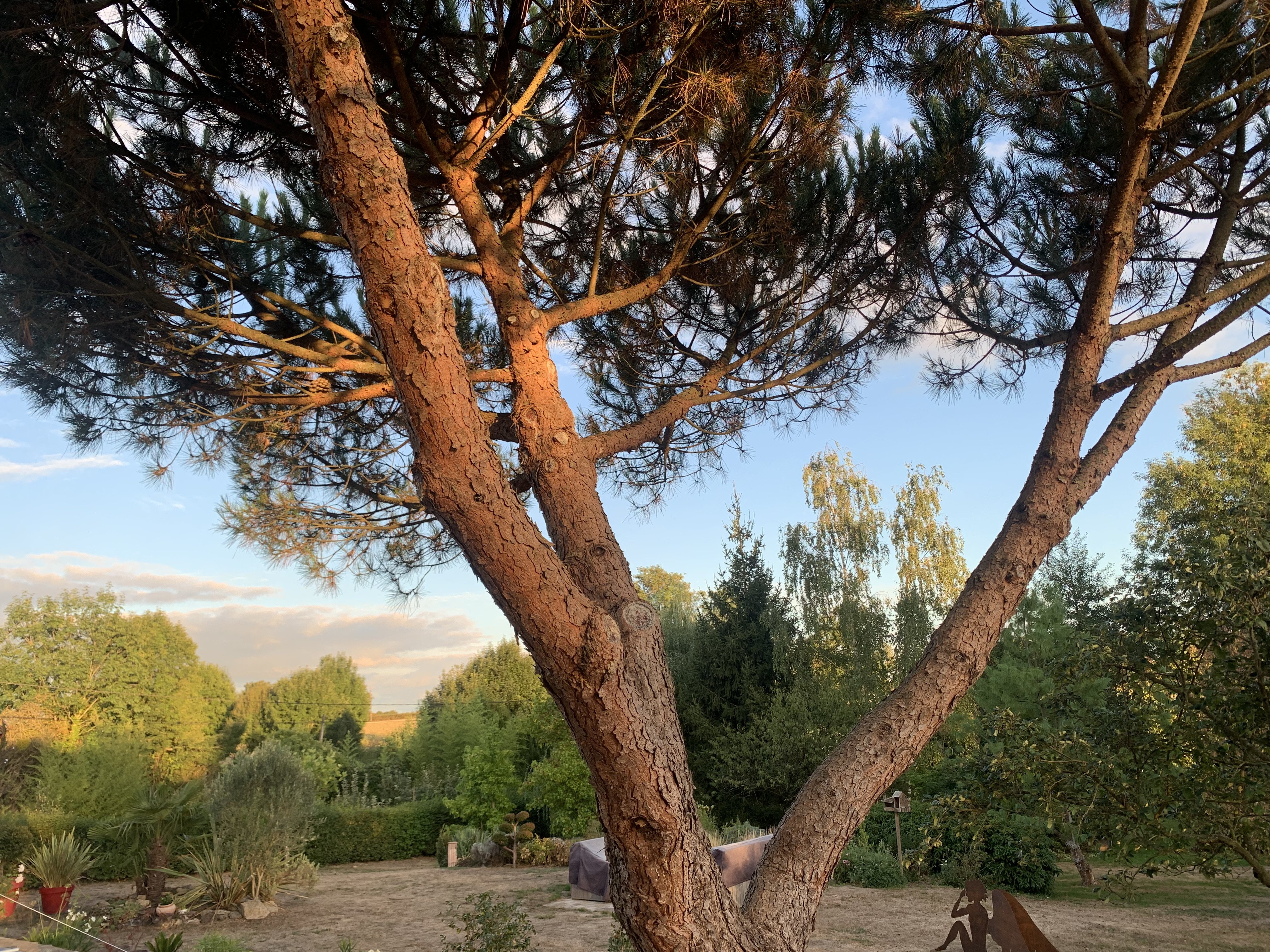 Les épis du vent, Adilly - photo 34