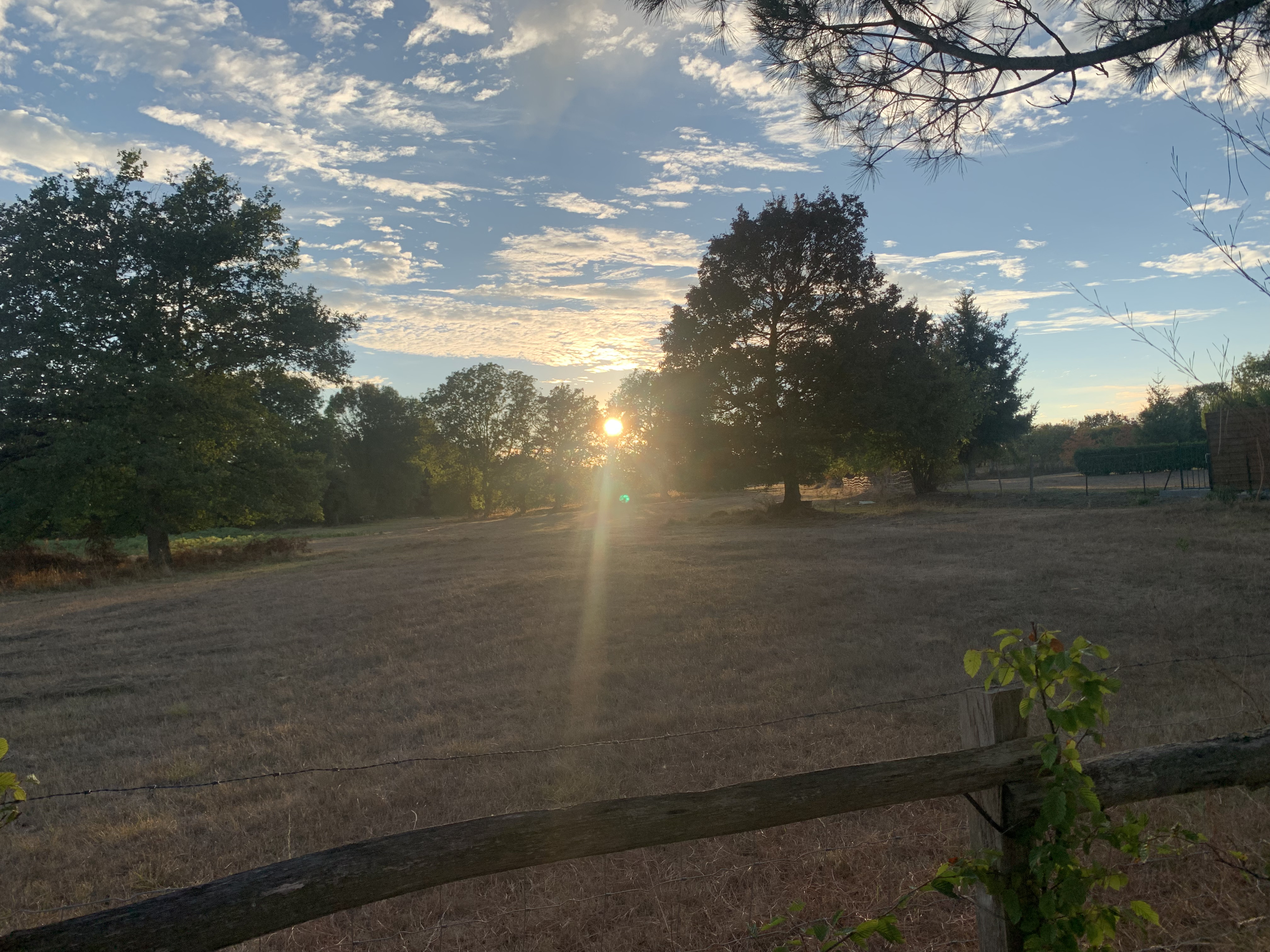 Les épis du vent, Adilly - photo 27
