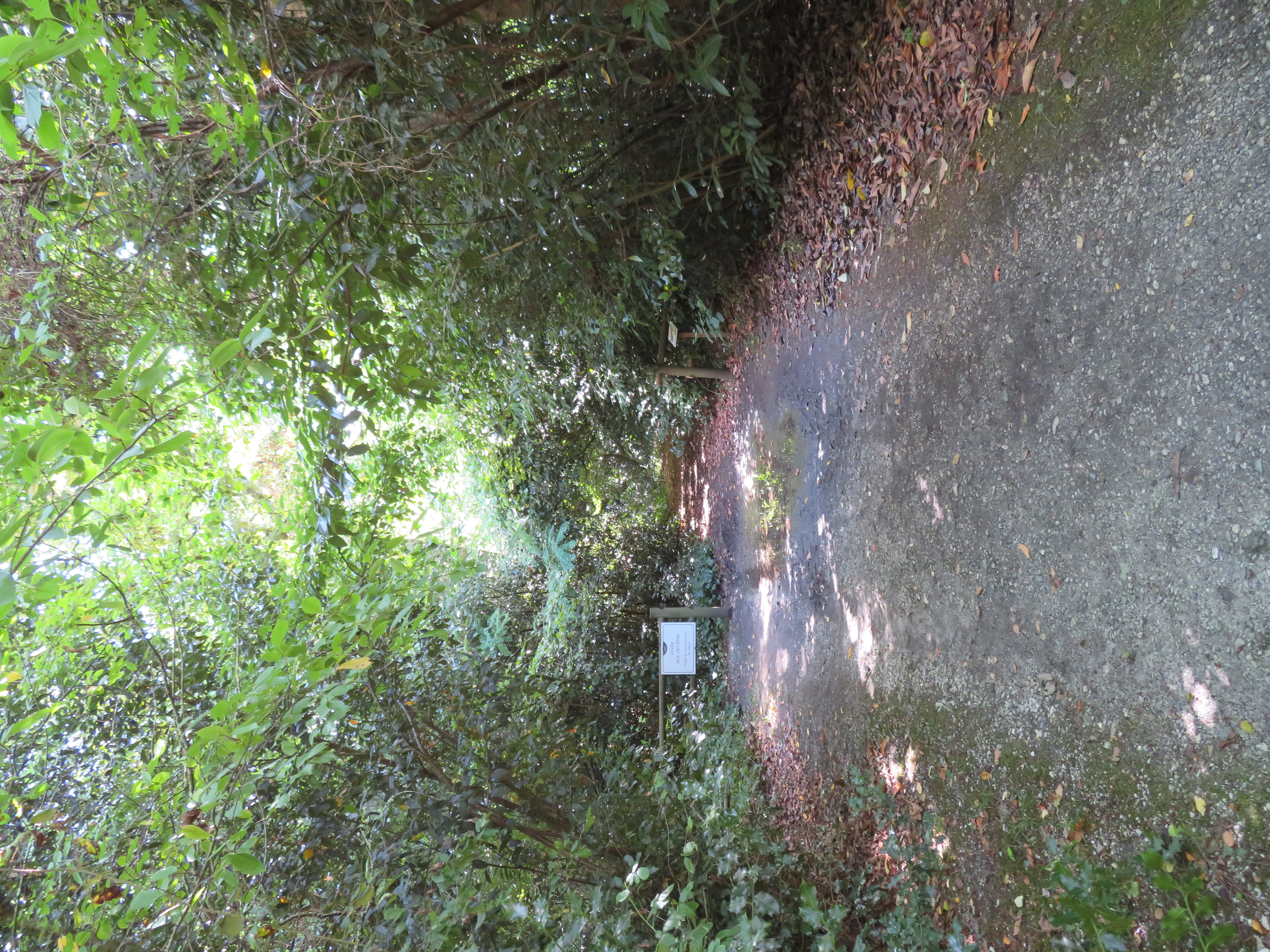Balade à roulettes : Parc Sourreil à Villenave d'Ornon, Villenave-d'Ornon - photo 2