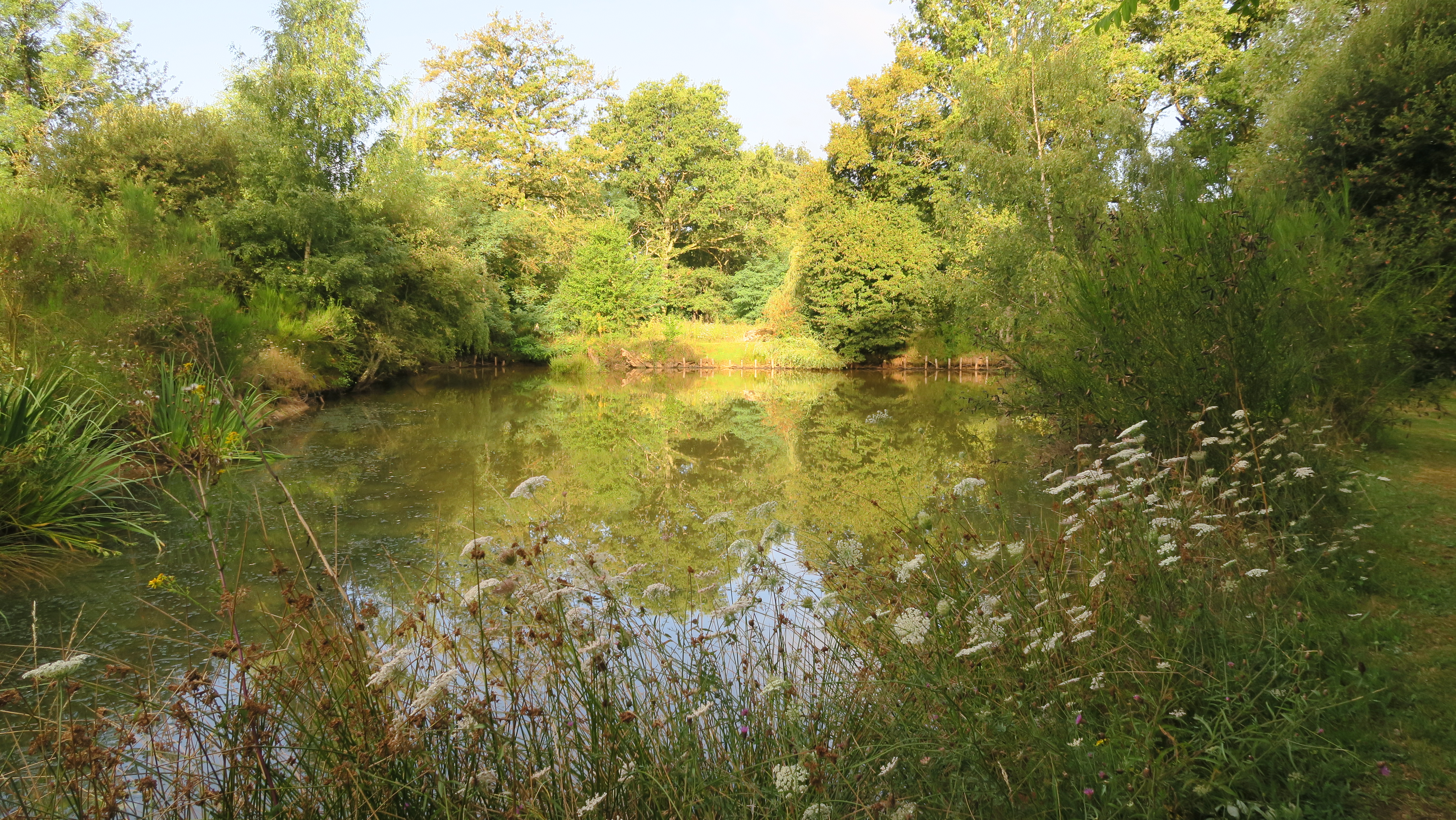 Sérénité Verte à la Tuilerie, La Bazeuge - photo 11