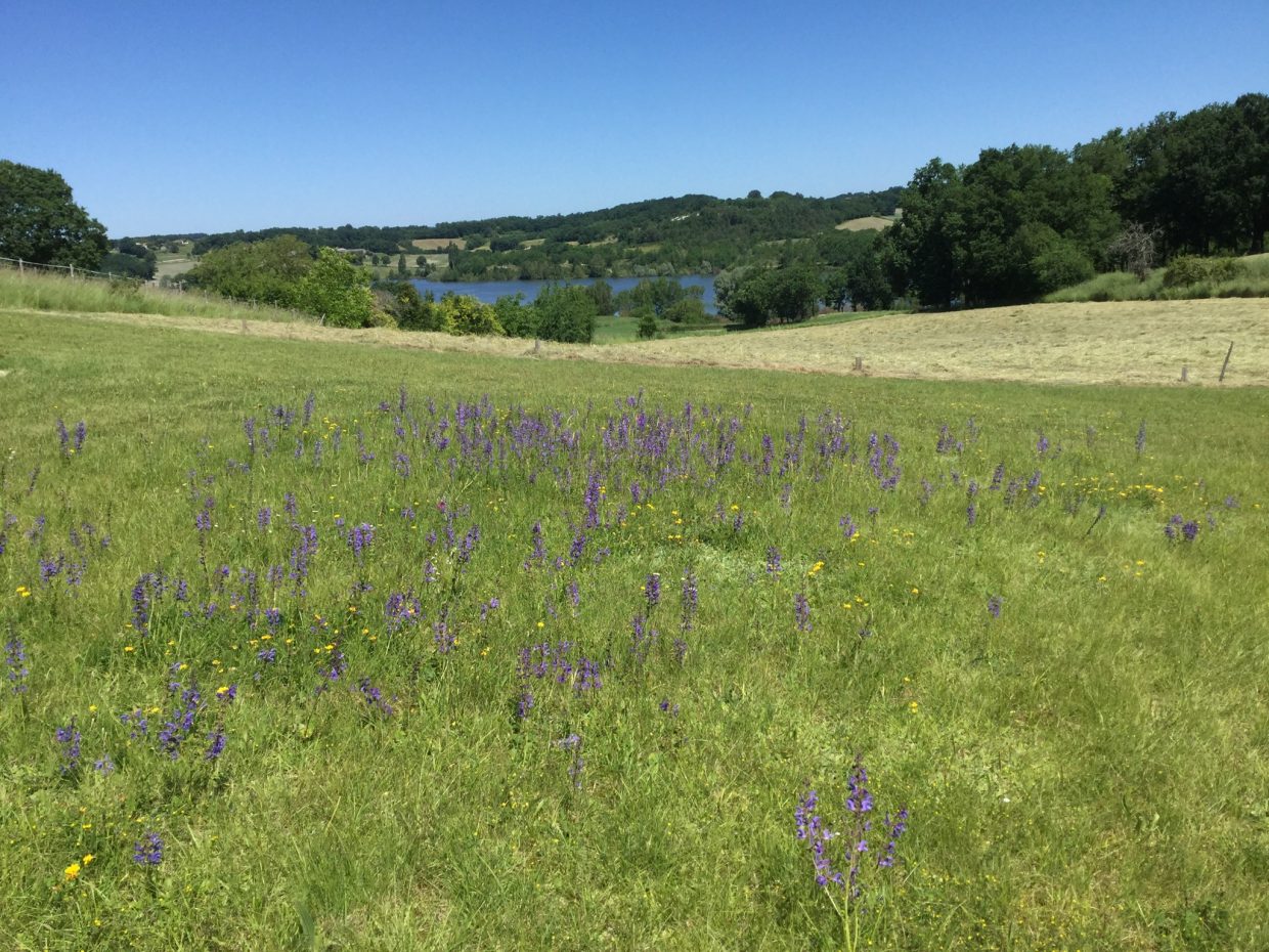 The Studio, Parranquet - photo 8