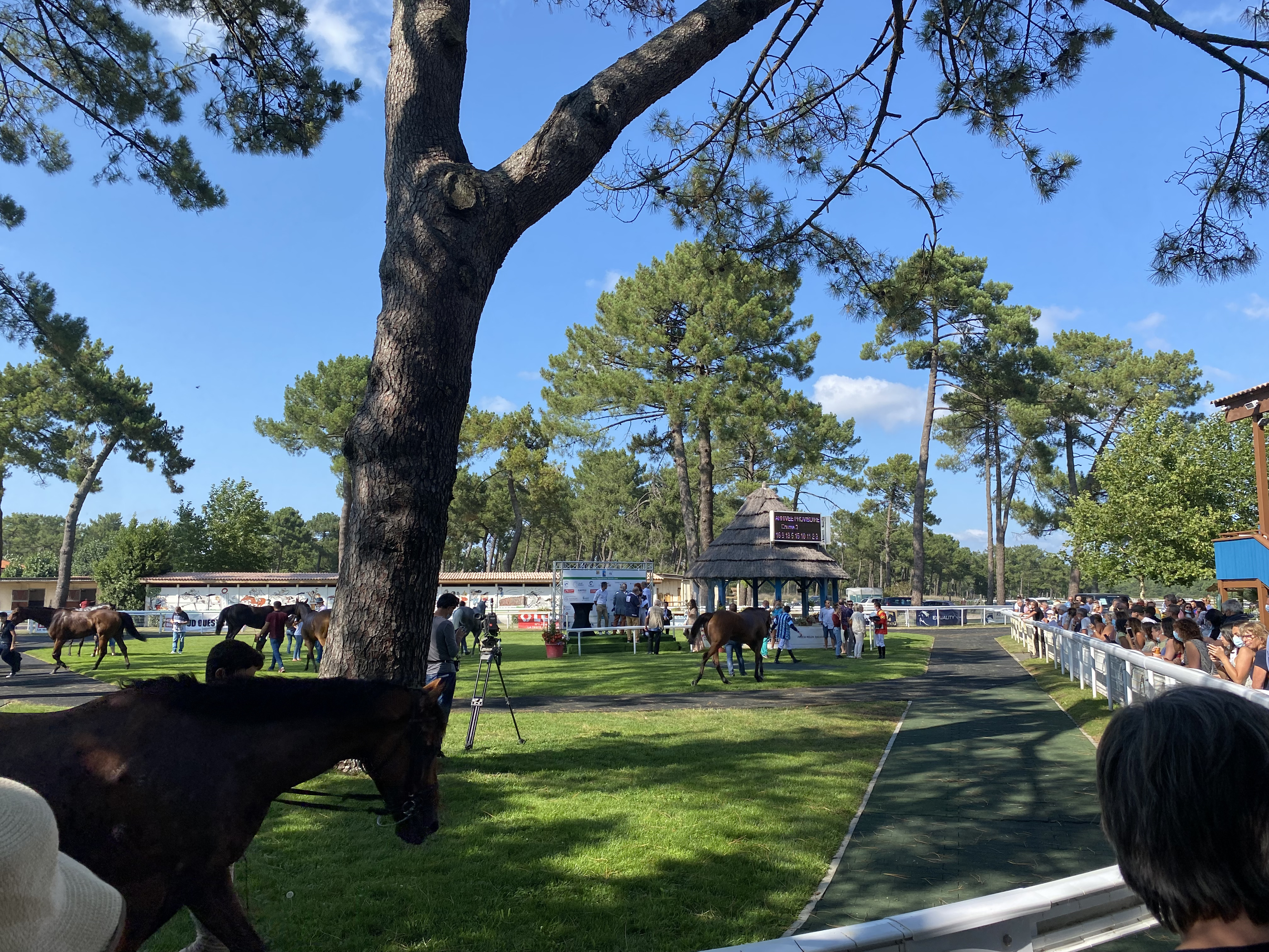 Visite privilège à l’hippodrome, un jour de courses
