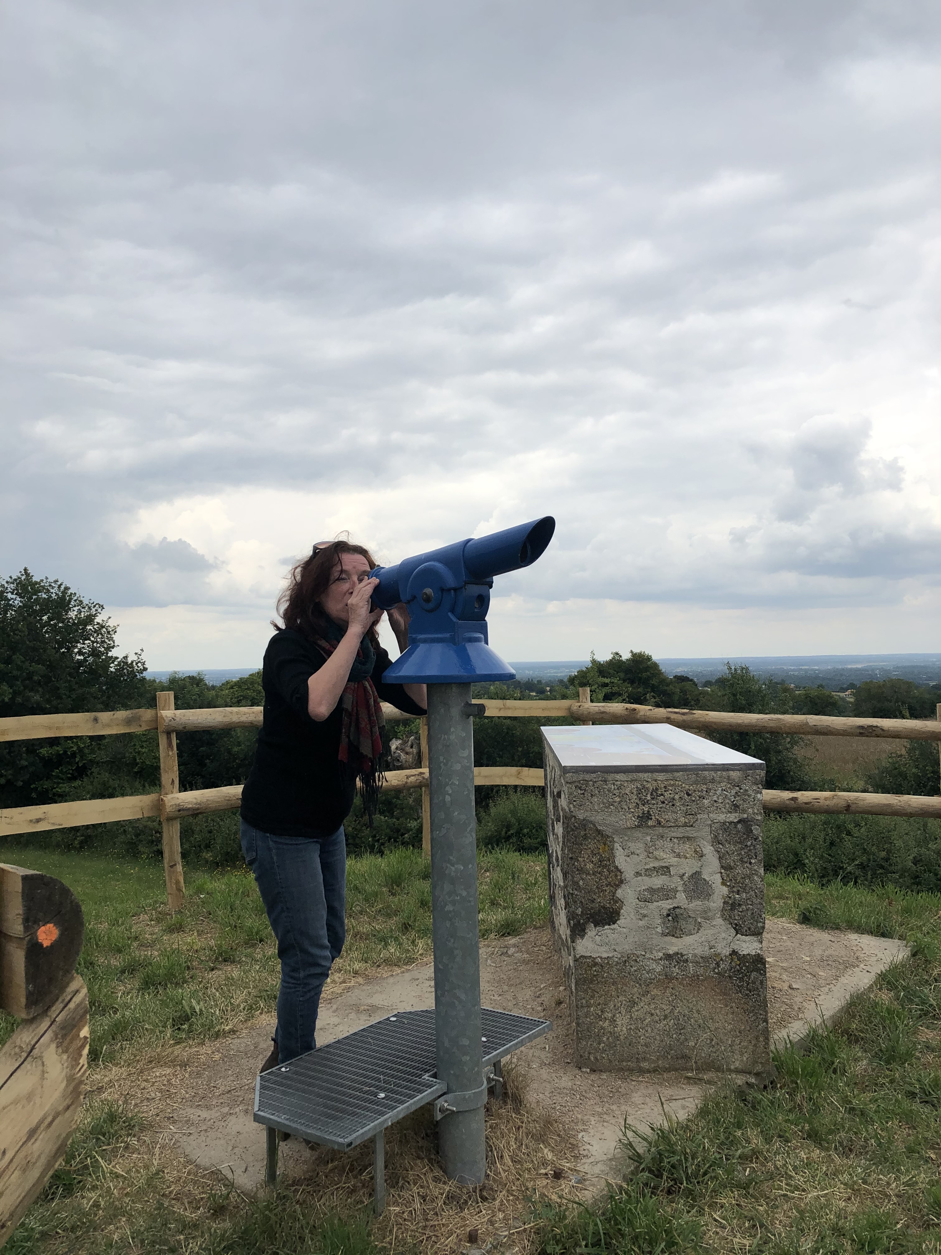 Terrier du Fouilloux, Saint-Martin-du-Fouilloux - photo 4