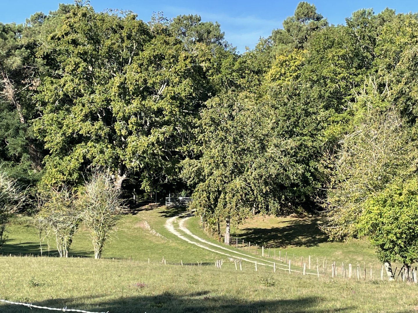 Gite de campagne, Mussidan - photo 5