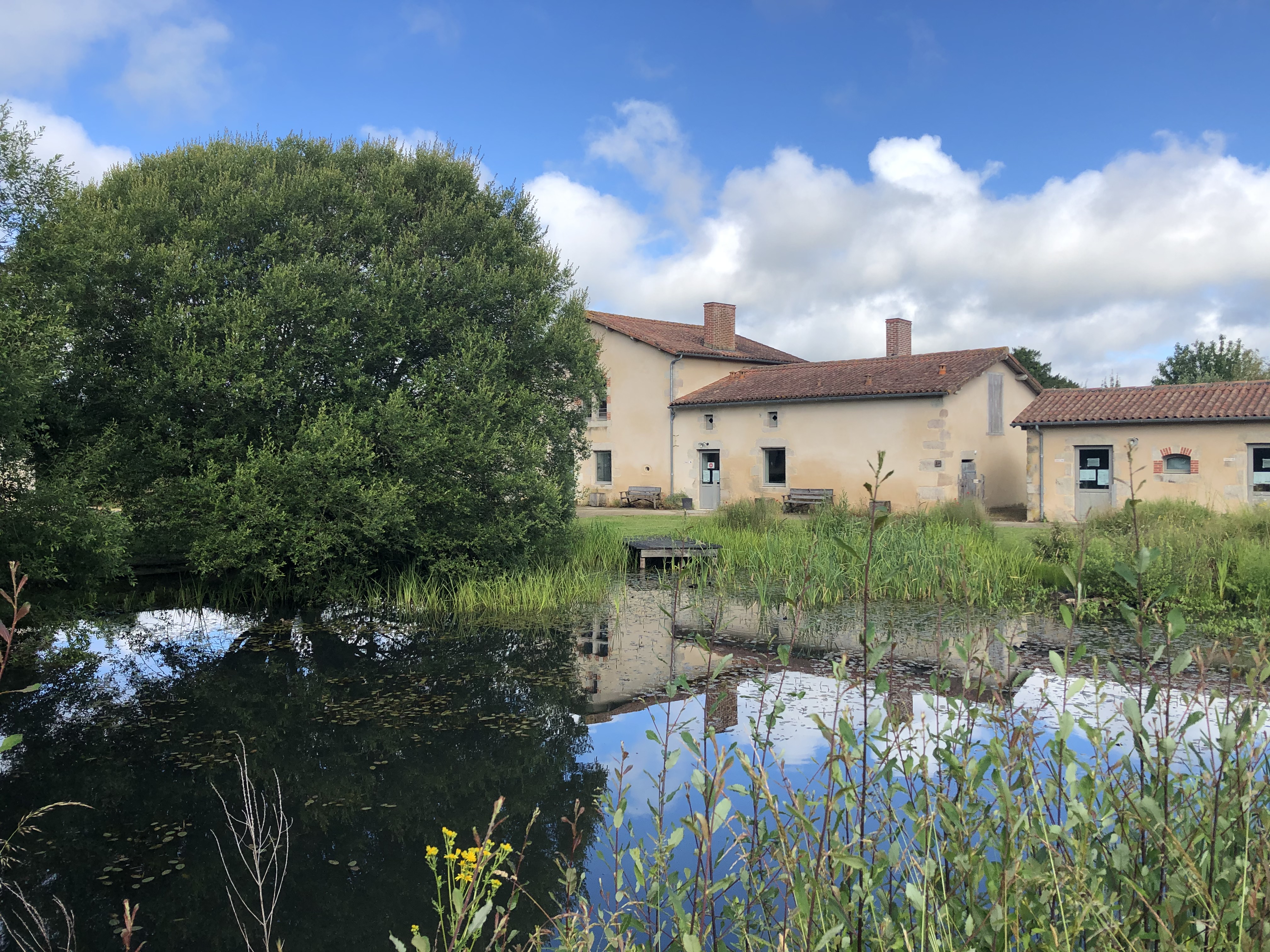 La Grimaudière - IFFCAM