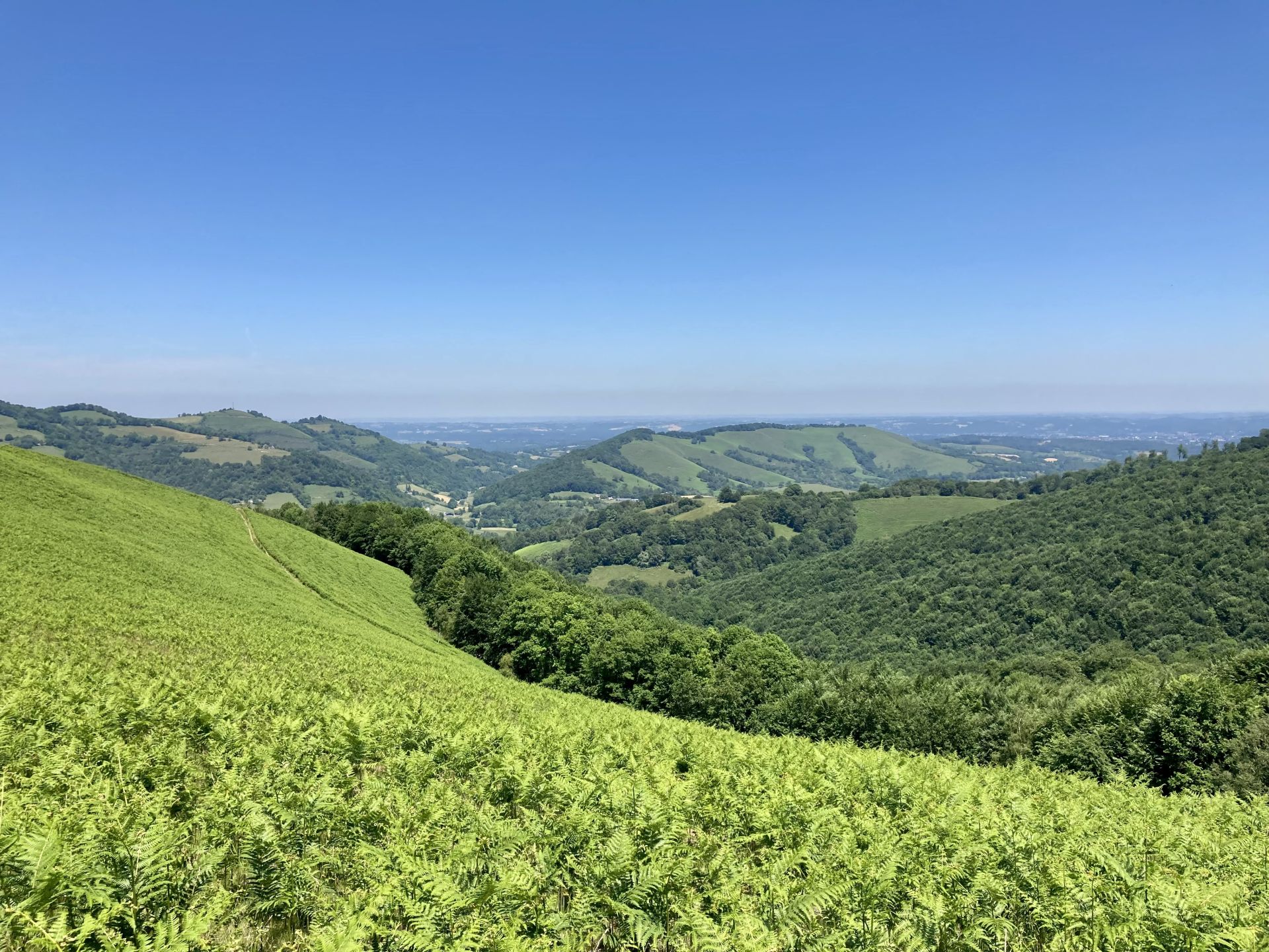 N°7 Barétous - Bois de Gouloume, Aramits - photo 18