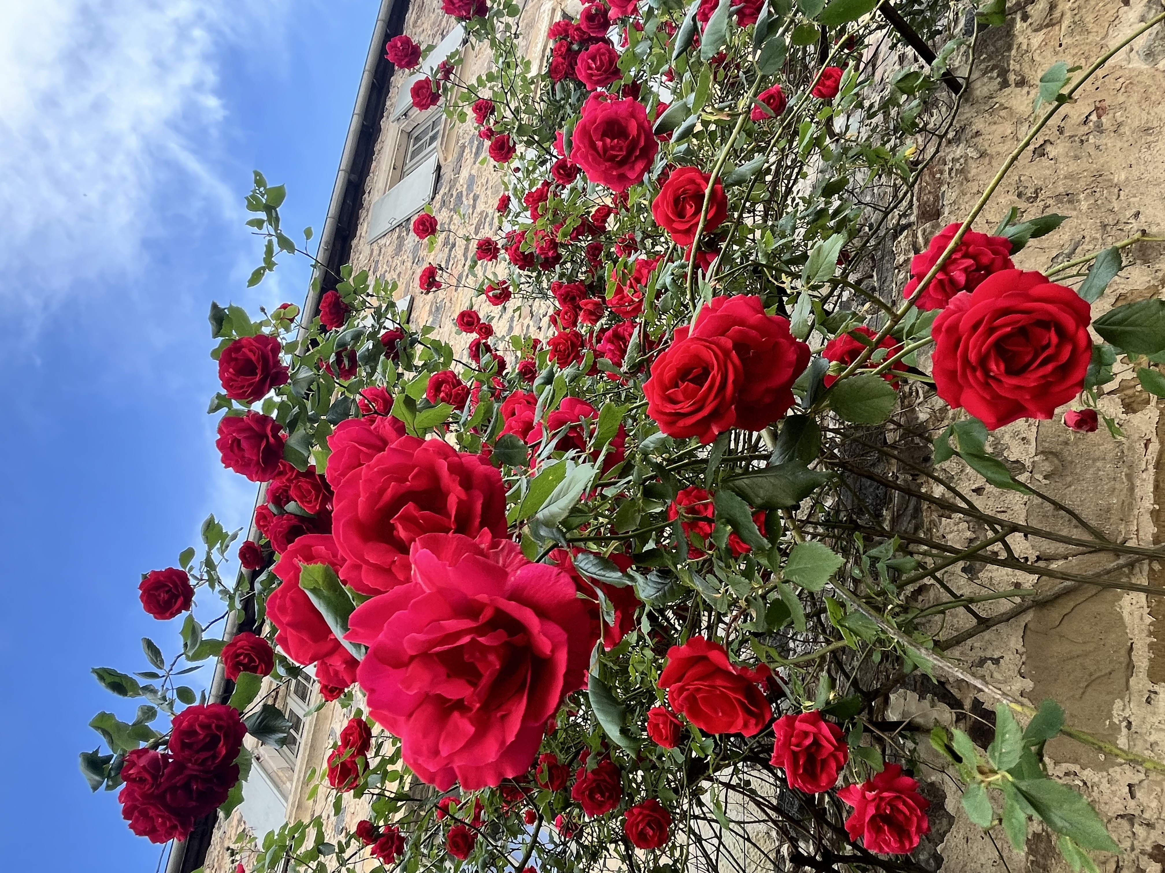 La Porte Cochère, Beaulieu-sur-Dordogne - photo 17