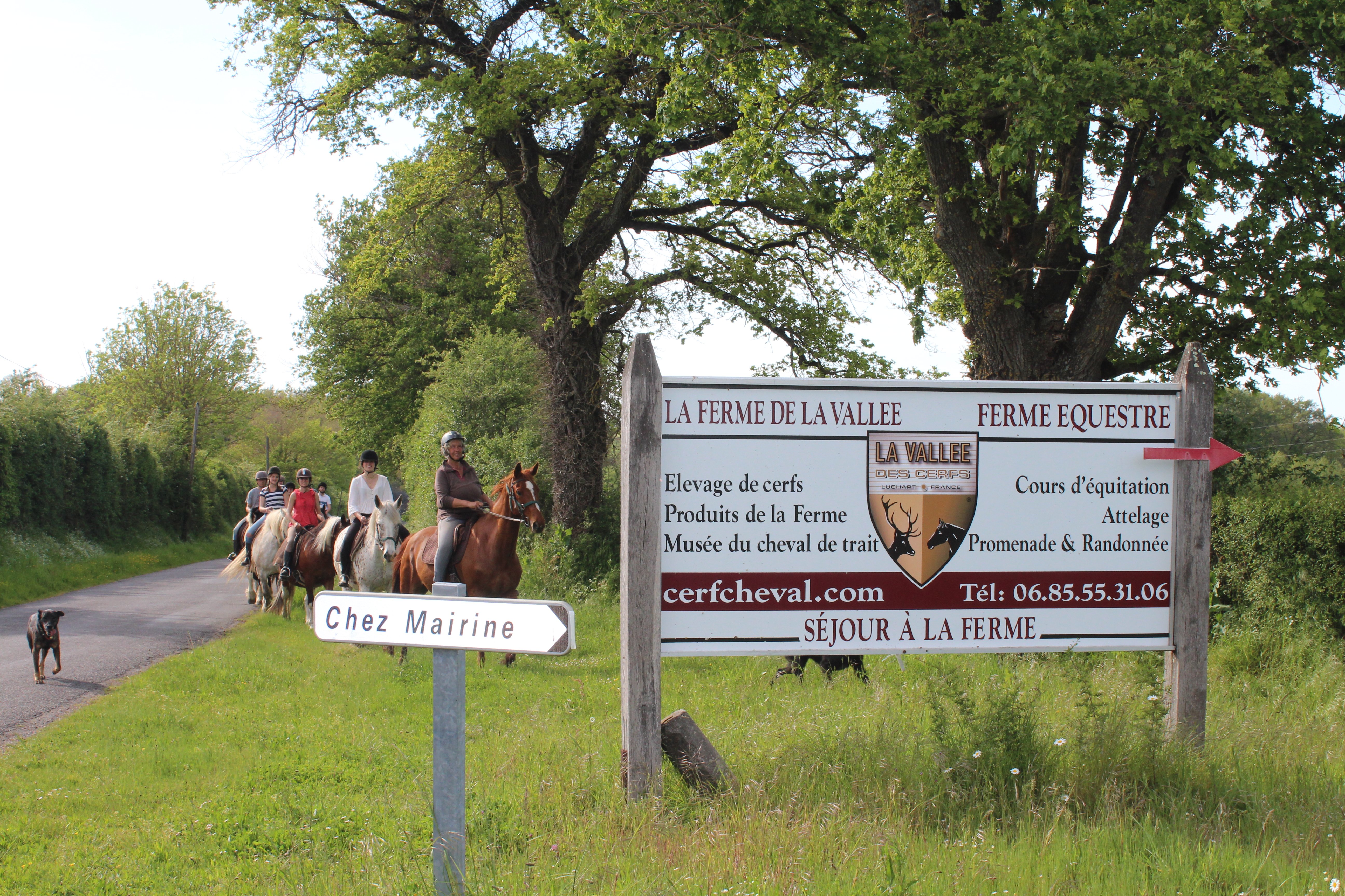 Ferme Equestre La Vallée des Cerfs