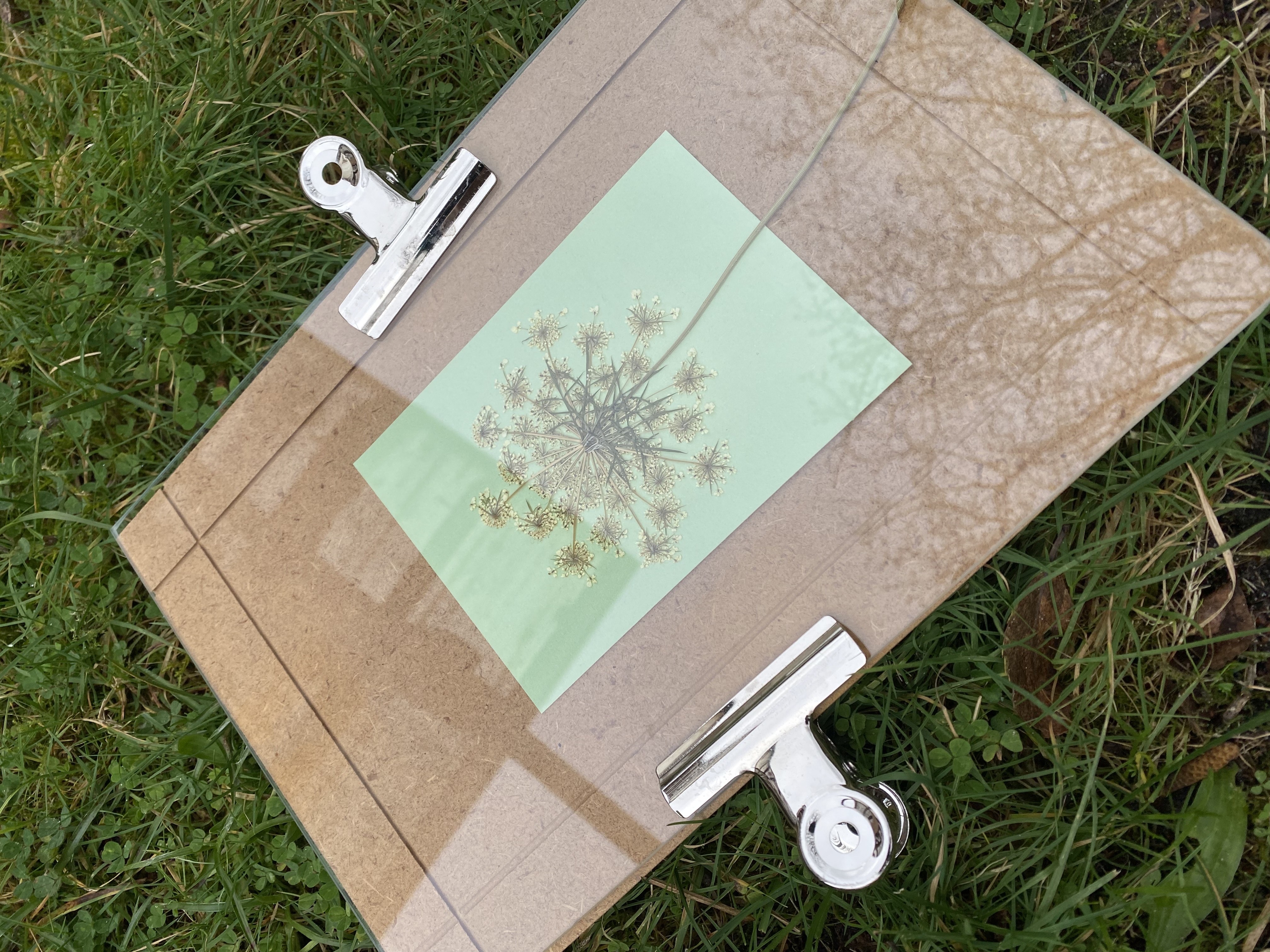 Atelier cyanotypes, Audenge