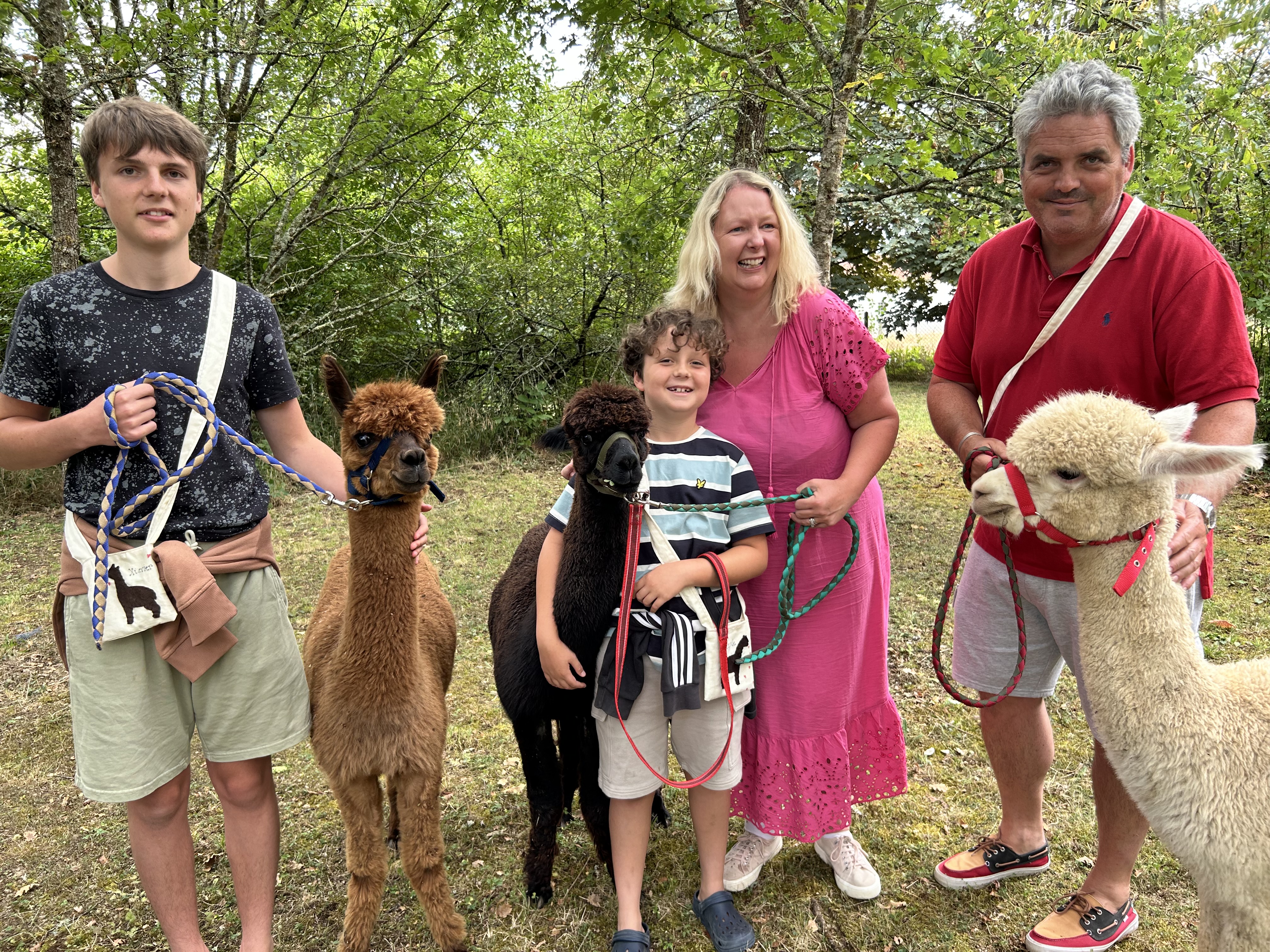 Promenade avec les Alpagas, Limalonges - photo 8