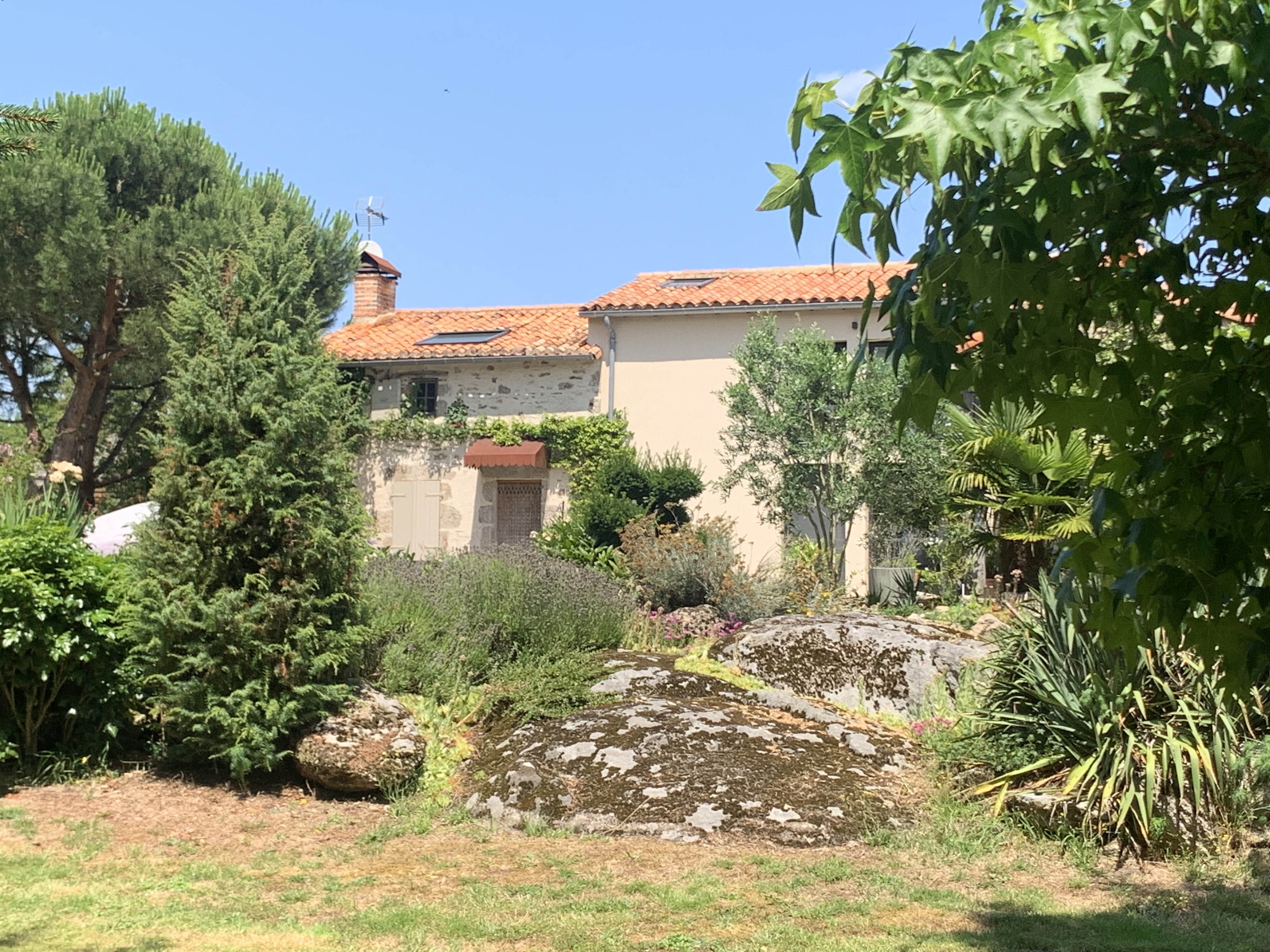 Les épis du vent, Adilly - photo 25