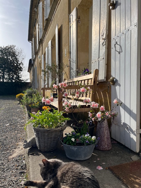 Clos Landis, Saint-Magne-de-Castillon - photo 12