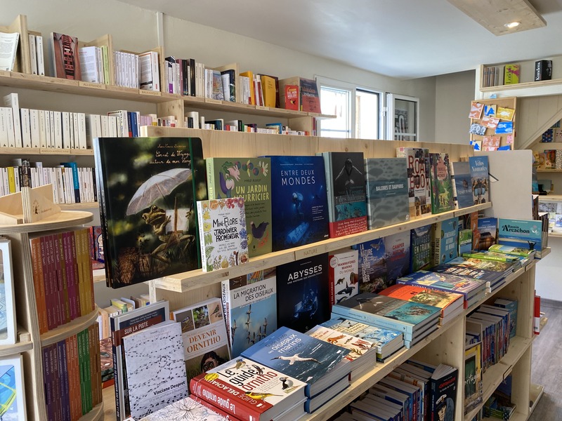librairie Dans le Sillage de Sindbad — photo 3