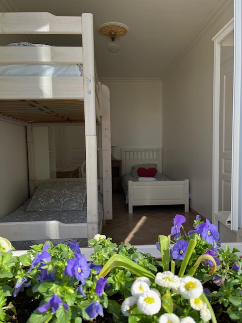 Clos Landis, Saint-Magne-de-Castillon - photo 6