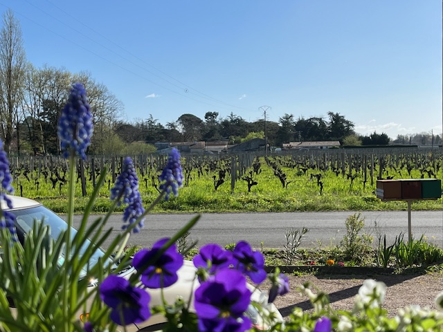 Clos Landis - photo 5