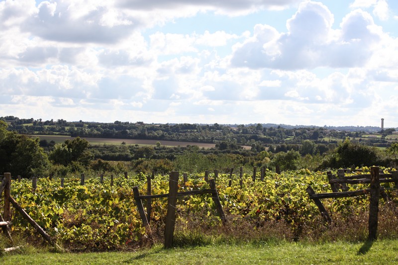 Tèrra Aventura "Le lièvre et la tortou" à Pamproux - photo 2