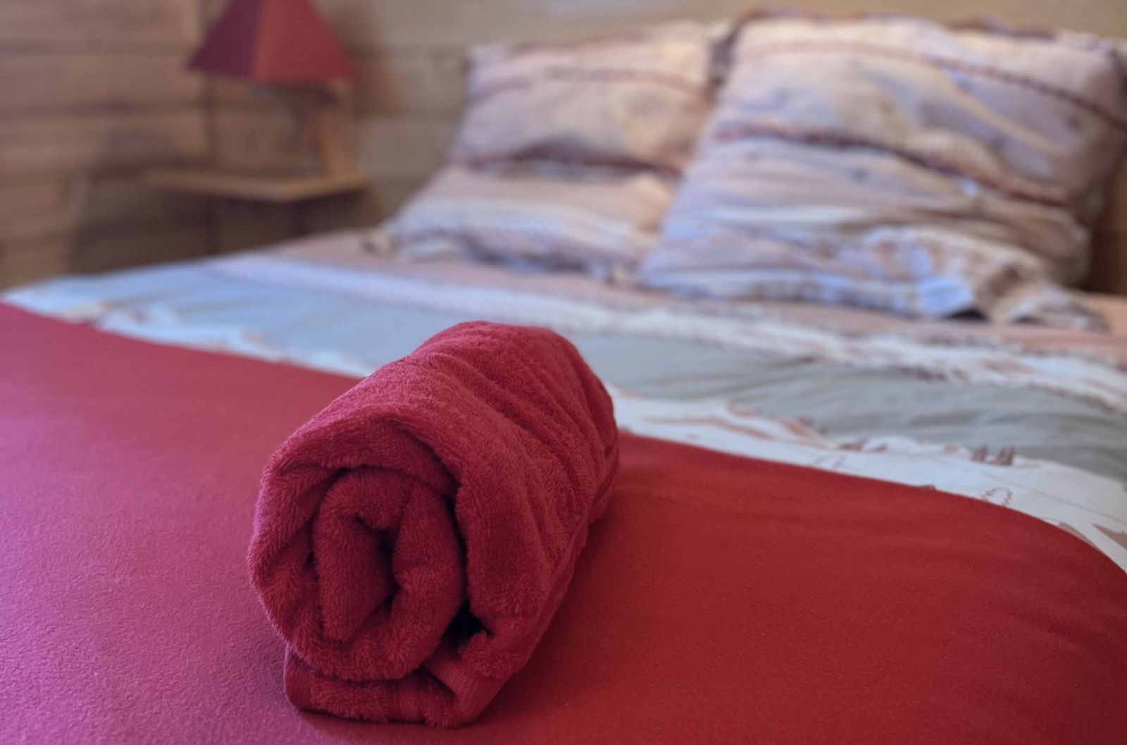 Chalet des Myrtilles (1er étage) - photo 5