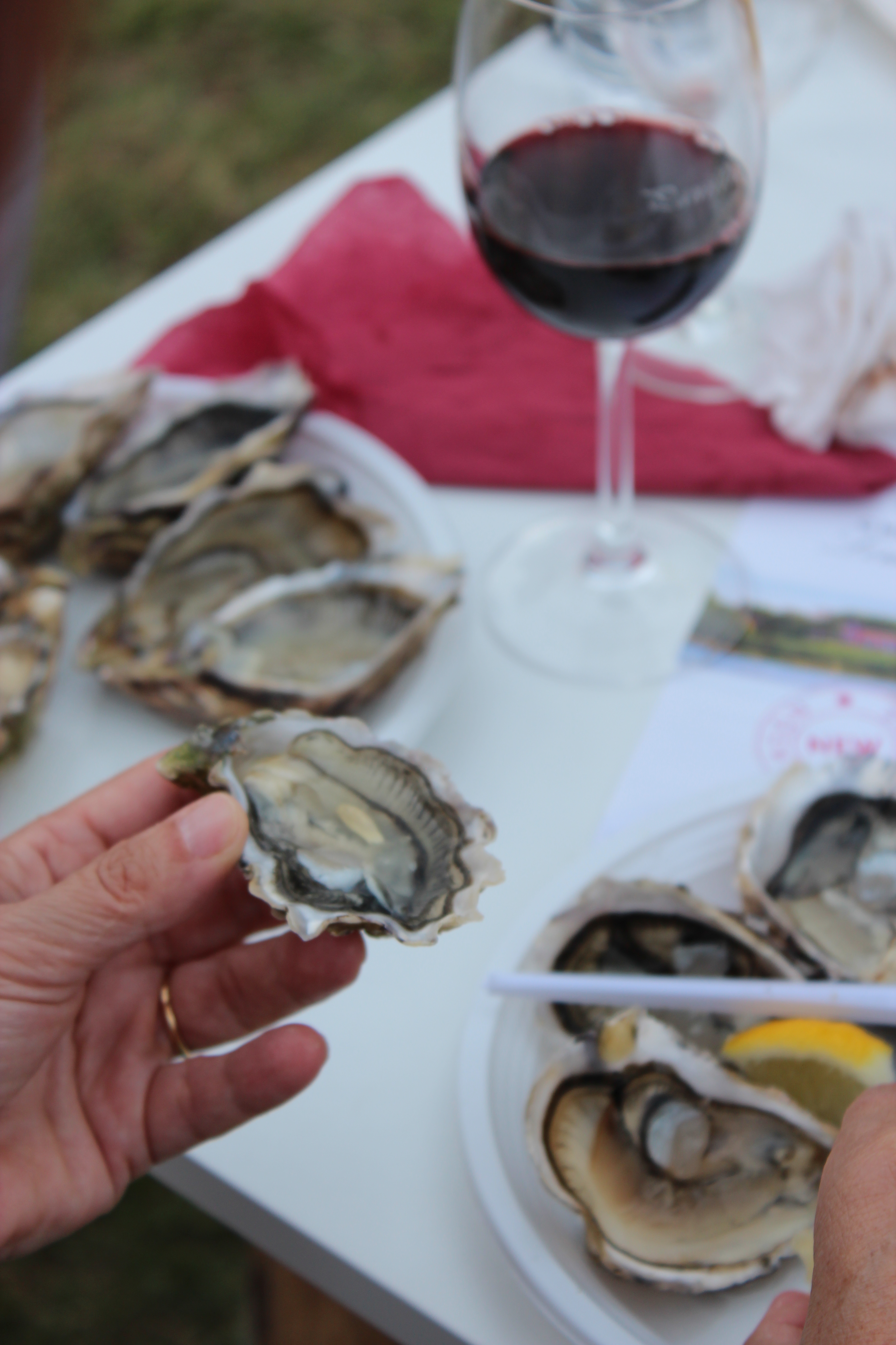 Music and Cook and Wine