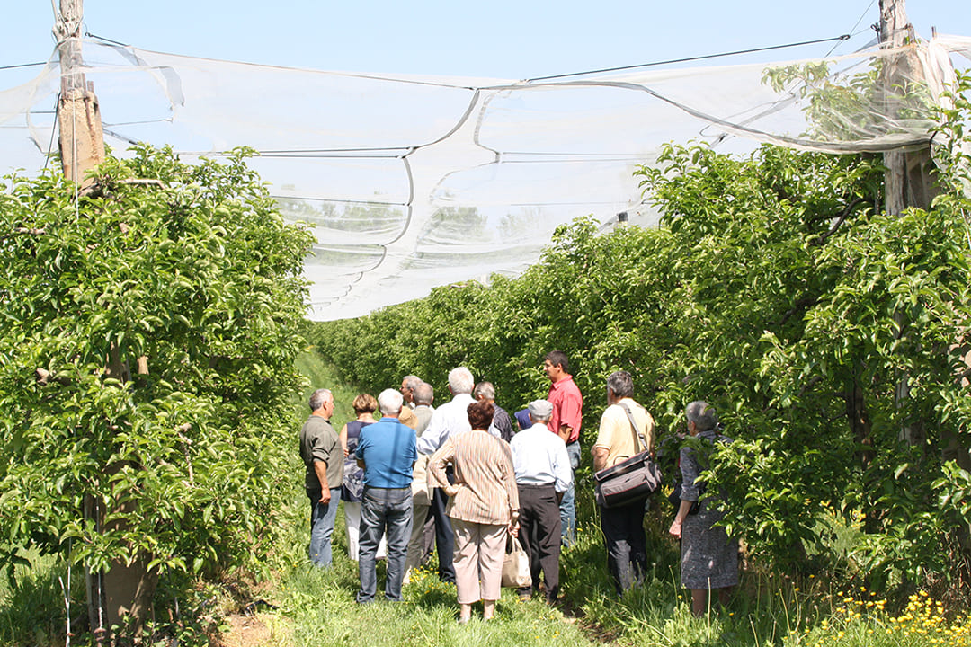 Le verger bio de Quinsac - photo 2