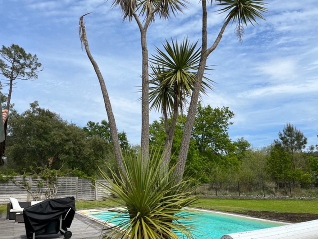 Villa Hale'Ohana, Moliets-et-Maa - photo 19