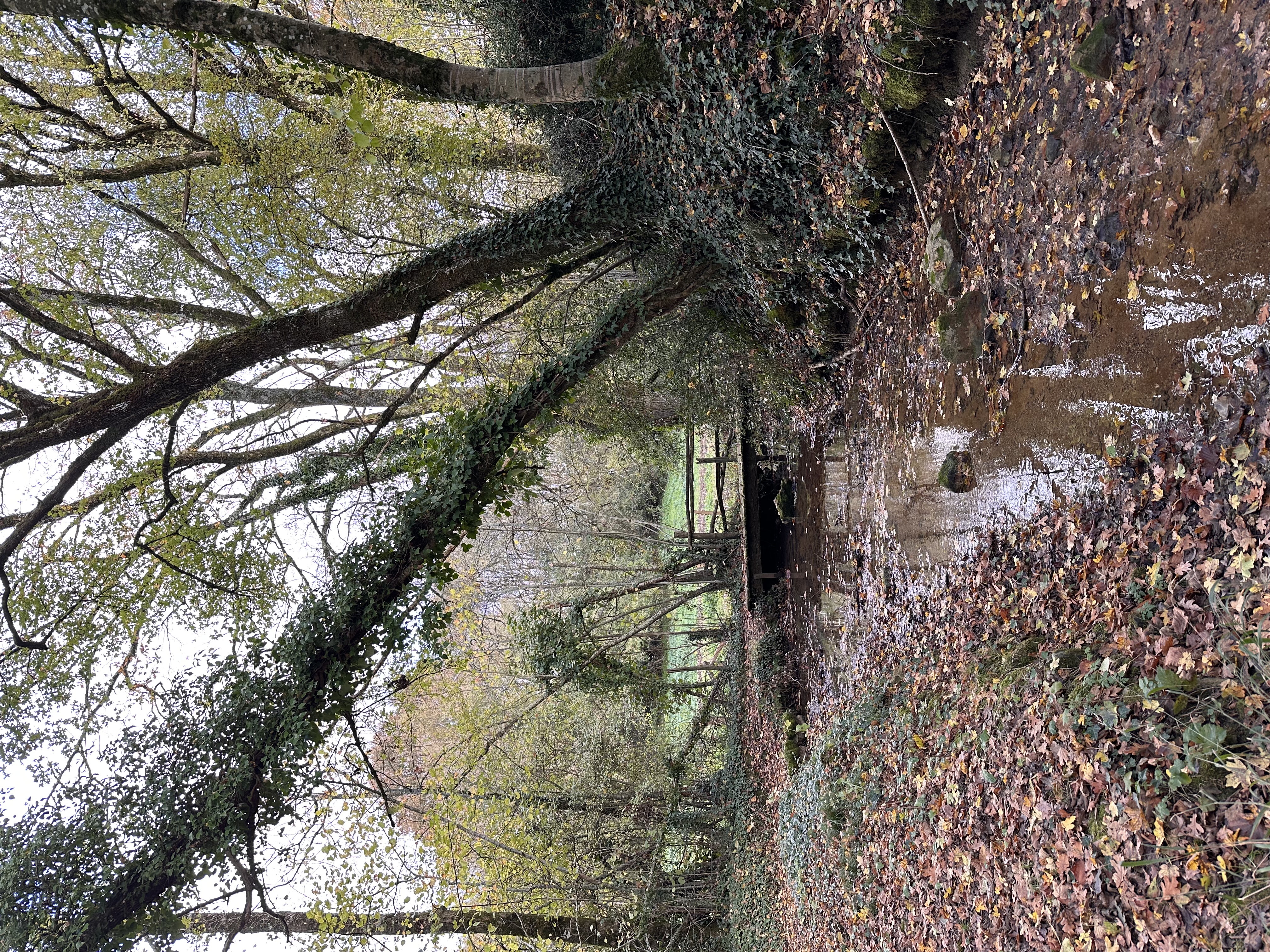 ENS -  Les sources de la Sèvre Niortaise, Sepvret