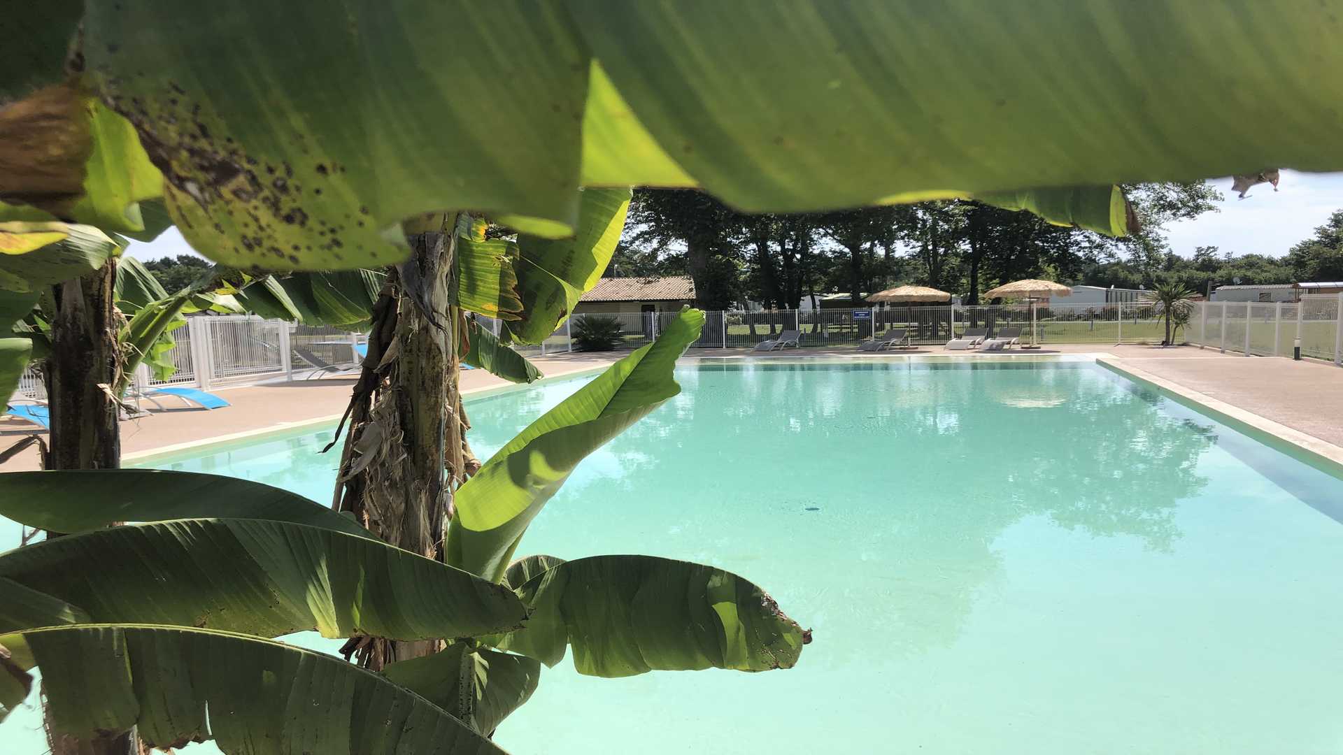 Camping Las Chancas, Sainte-Eulalie-en-Born - photo 3