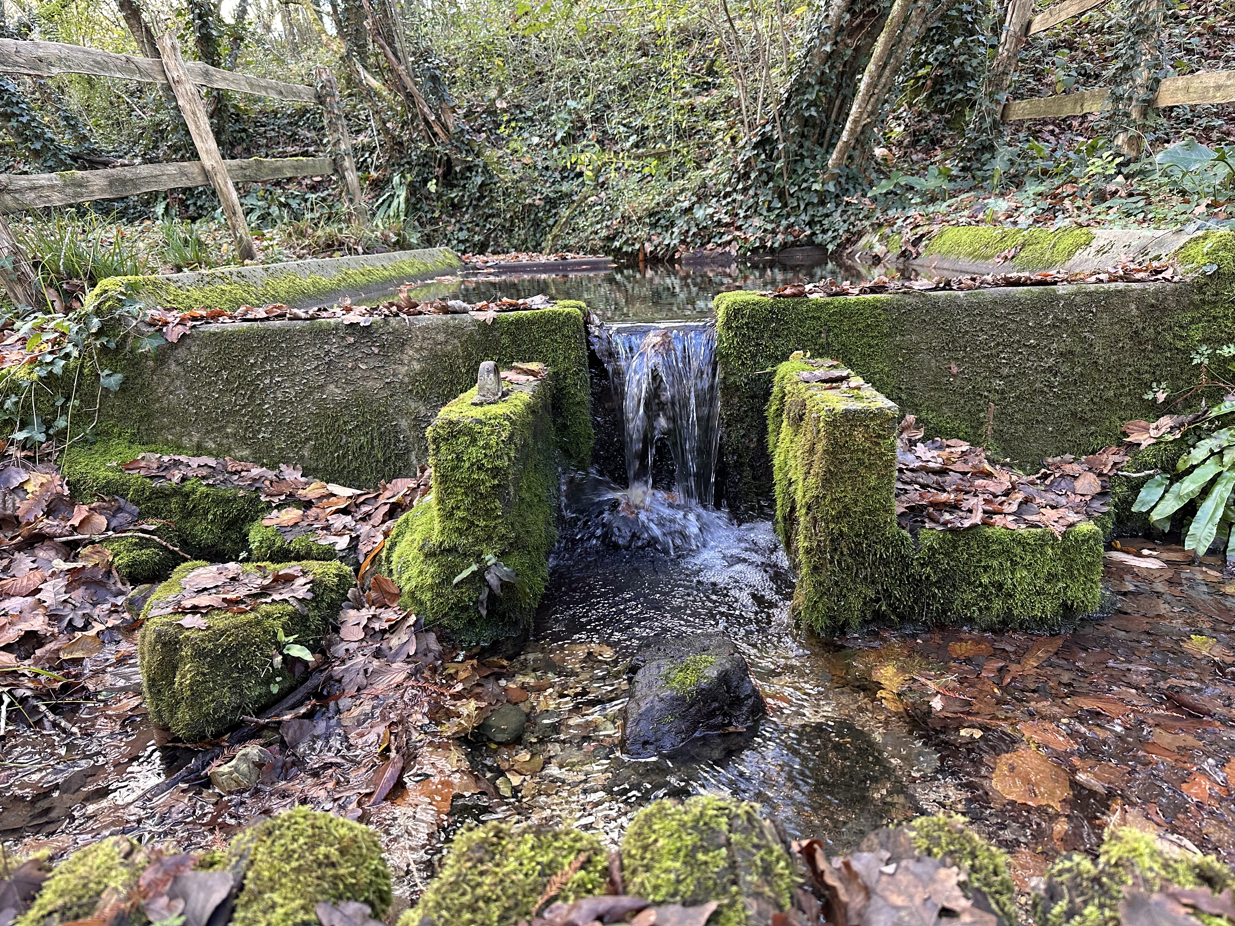ENS -  Les sources de la Sèvre Niortaise, Sepvret - photo 6