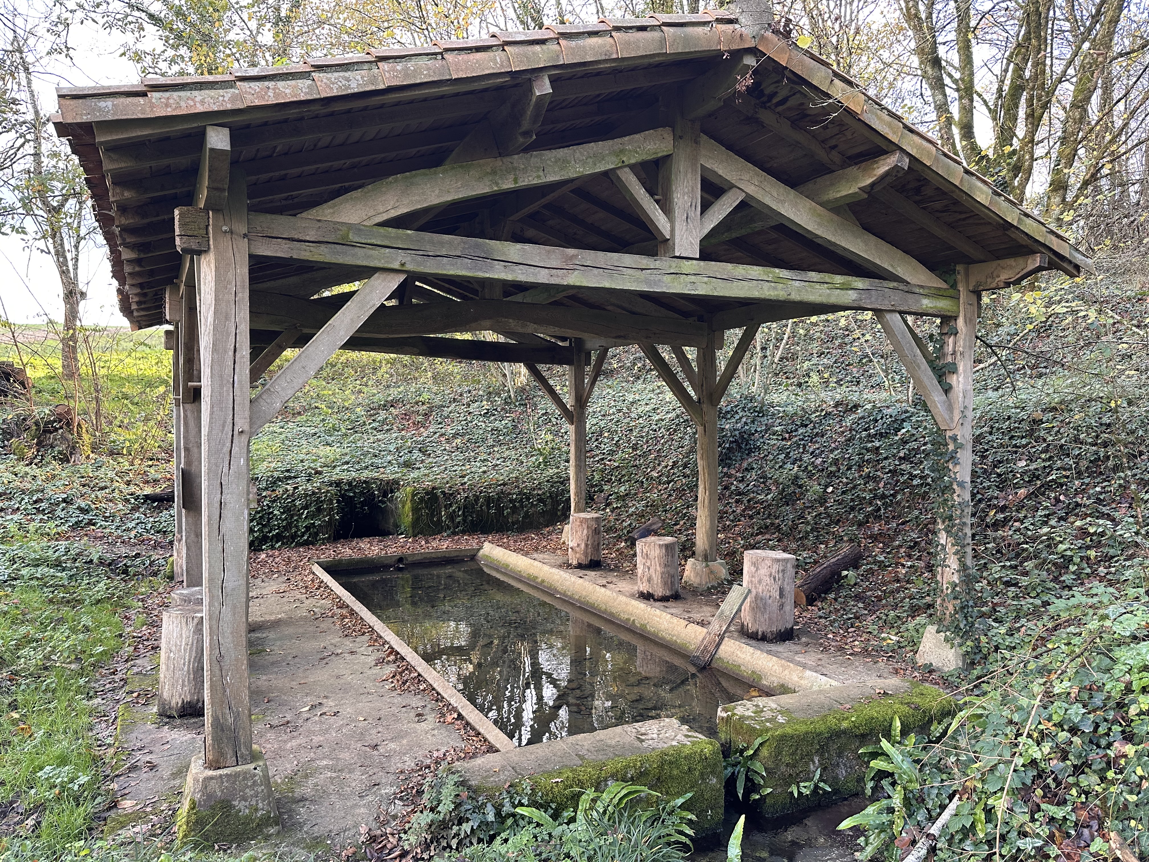 ENS -  Les sources de la Sèvre Niortaise, Sepvret - photo 3