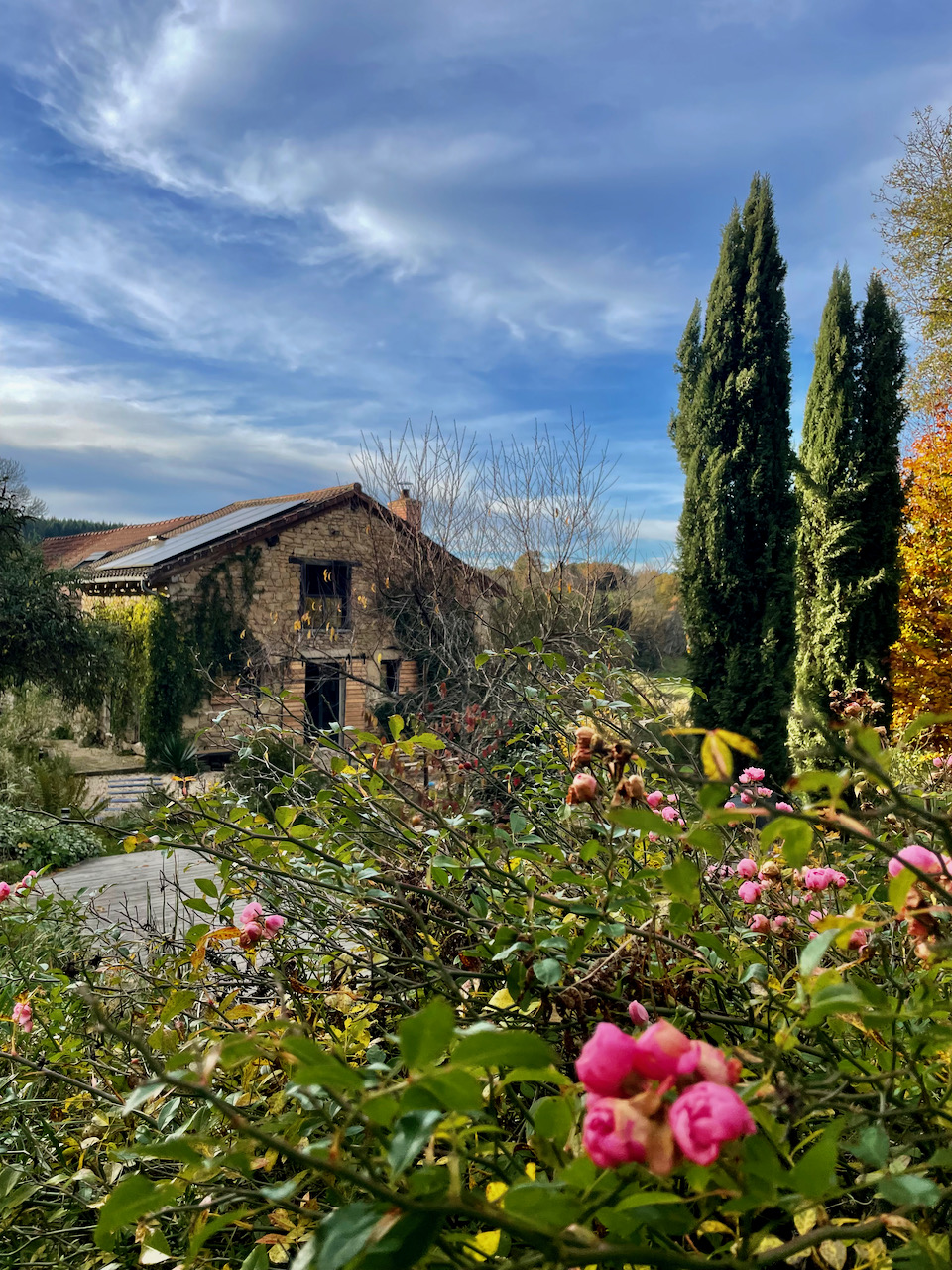 Le Mas des Sens - photo 4