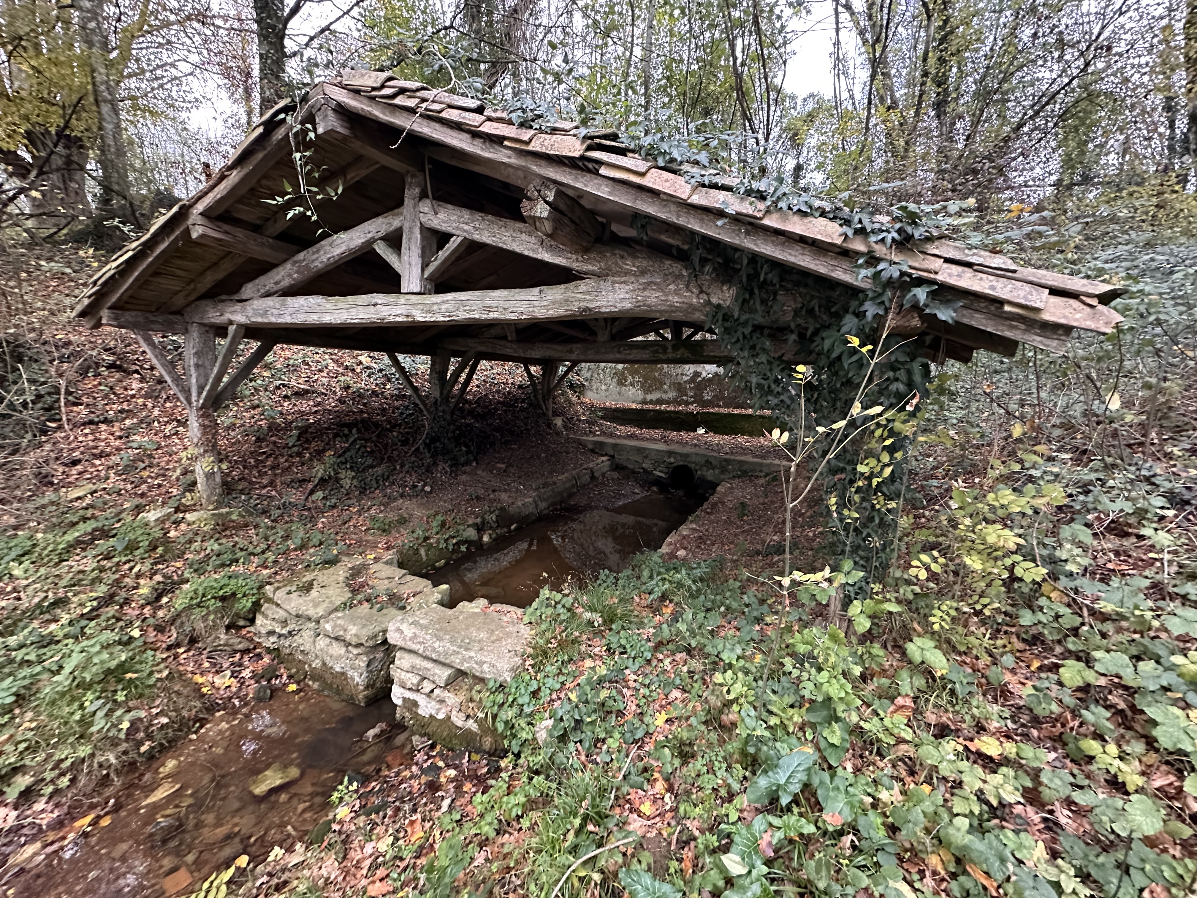 ENS -  Les sources de la Sèvre Niortaise, Sepvret - photo 4