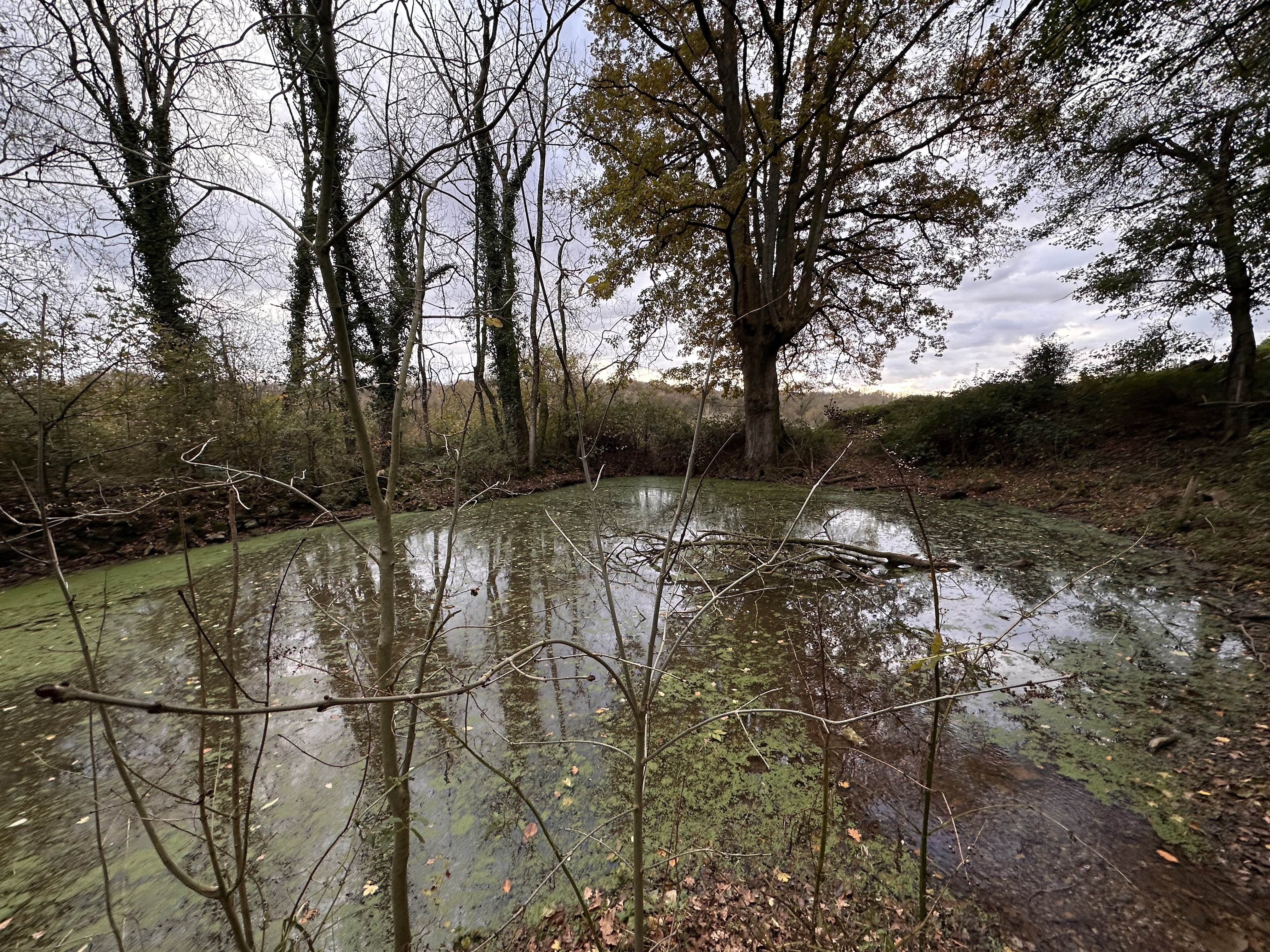 ENS -  Les sources de la Sèvre Niortaise
