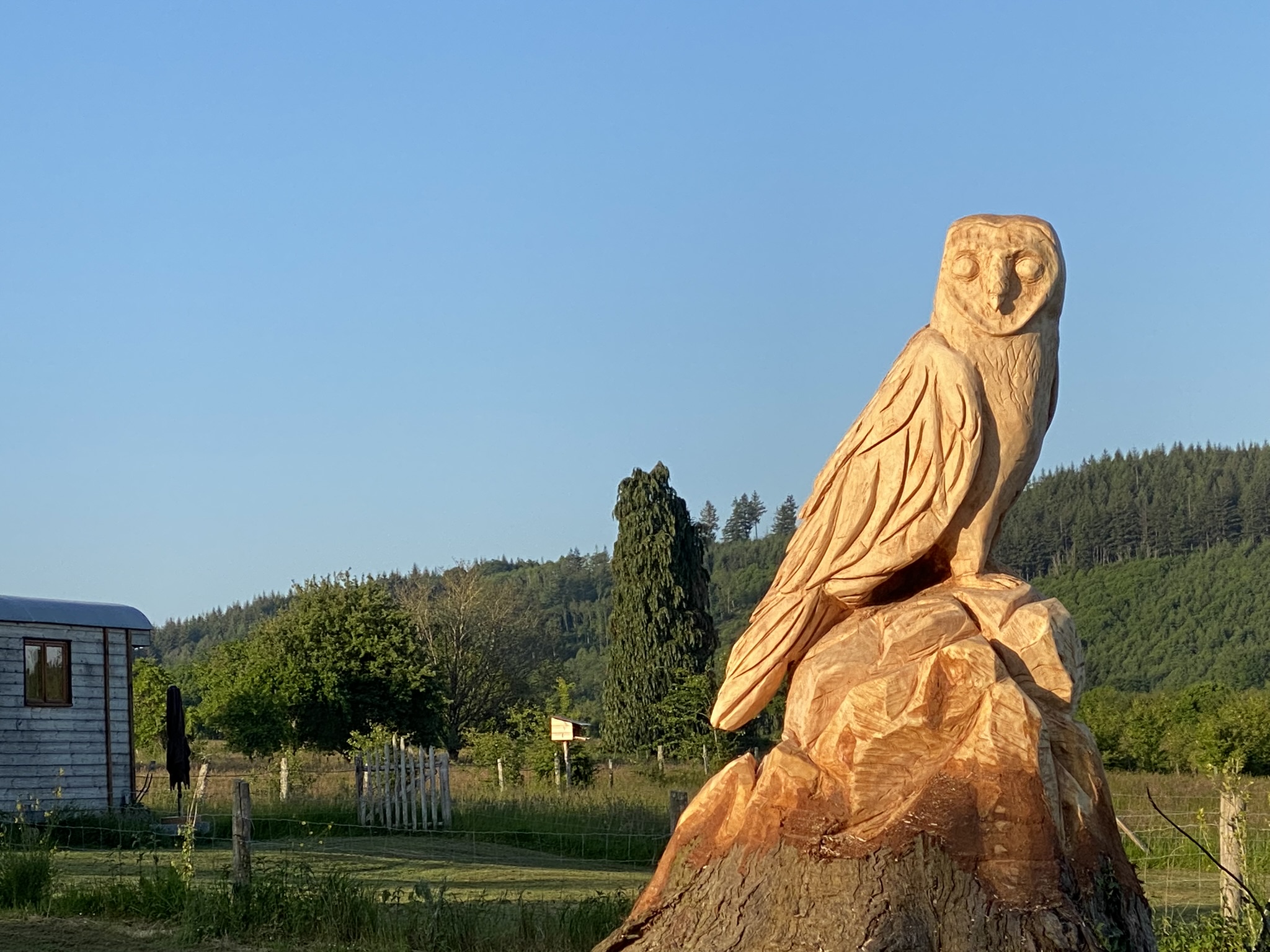 Roulotte 360°Nature, Champnétery - photo 10