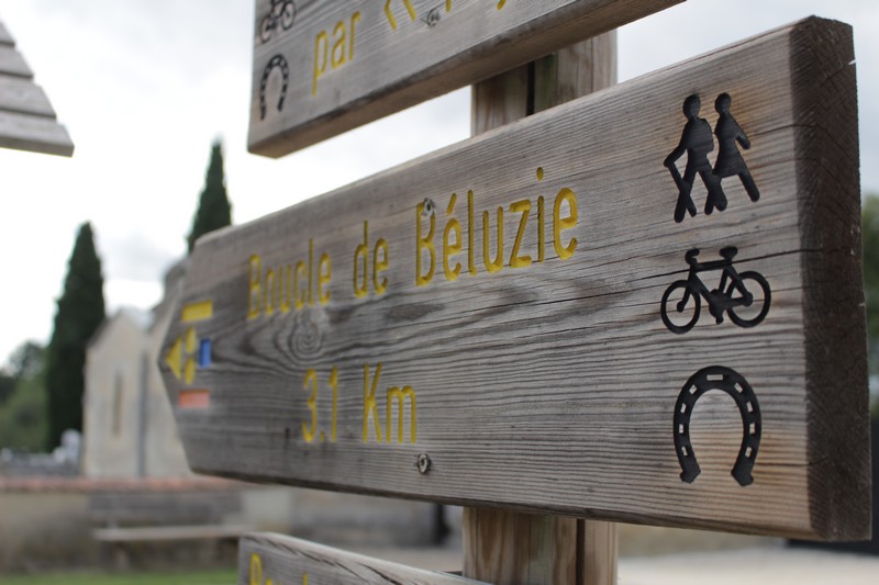 Boucle de Béluzie - Sainte Foy des Vignes - Ginestet