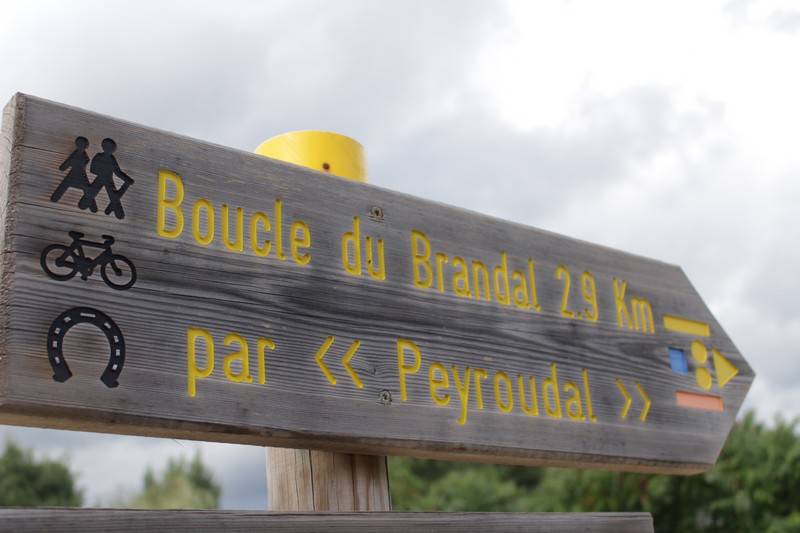 Boucle du Brandal - Sainte Foy des Vignes - Ginestet