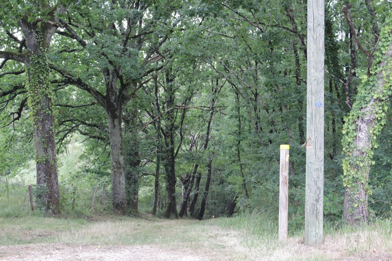 Boucle de Béluzie - Sainte Foy des Vignes - Ginestet, Ginestet