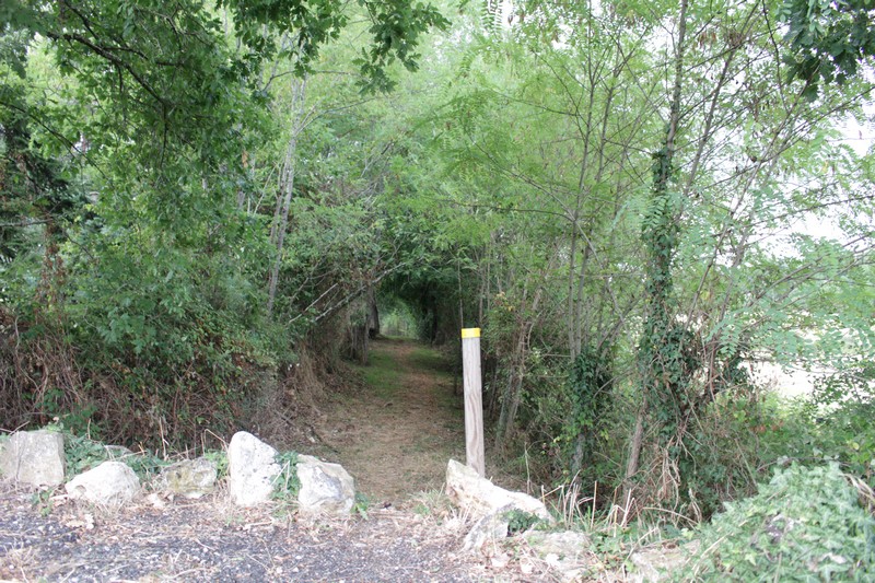 Boucle du Brandal - Sainte Foy des Vignes - Ginestet, Ginestet - photo 3